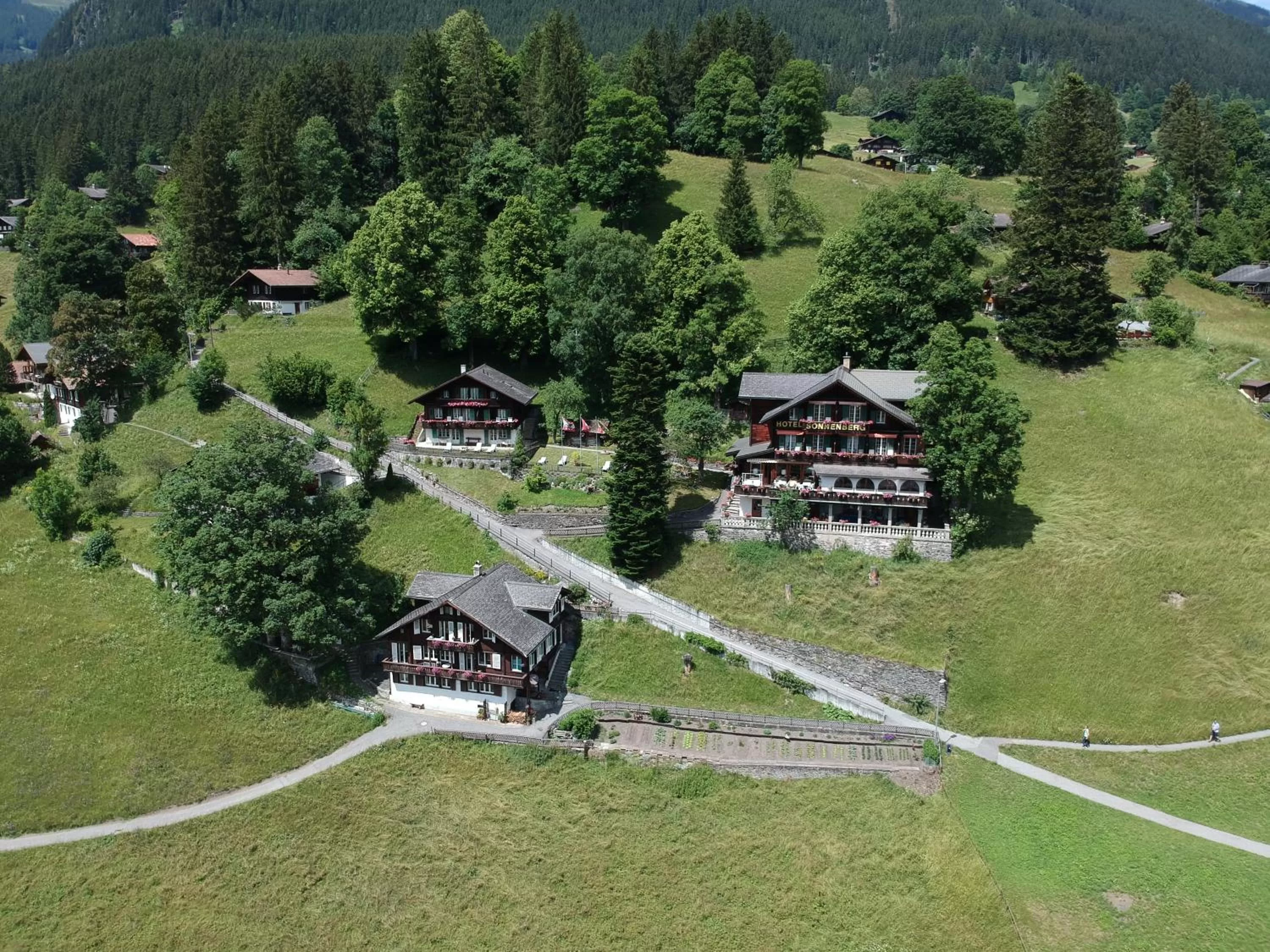 Bird's eye view in Hotel Sonnenberg