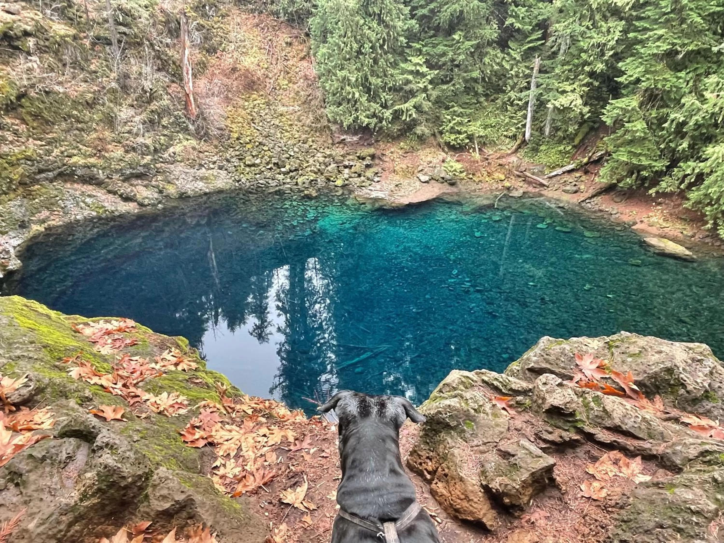 Activities, Natural Landscape in Smith Rock Resort