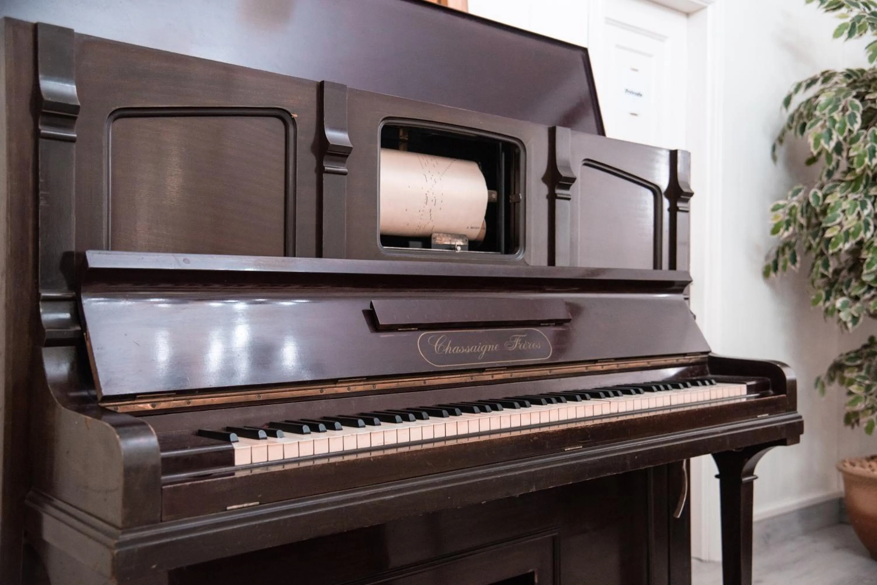 Lobby or reception in Hotel Los Olmos