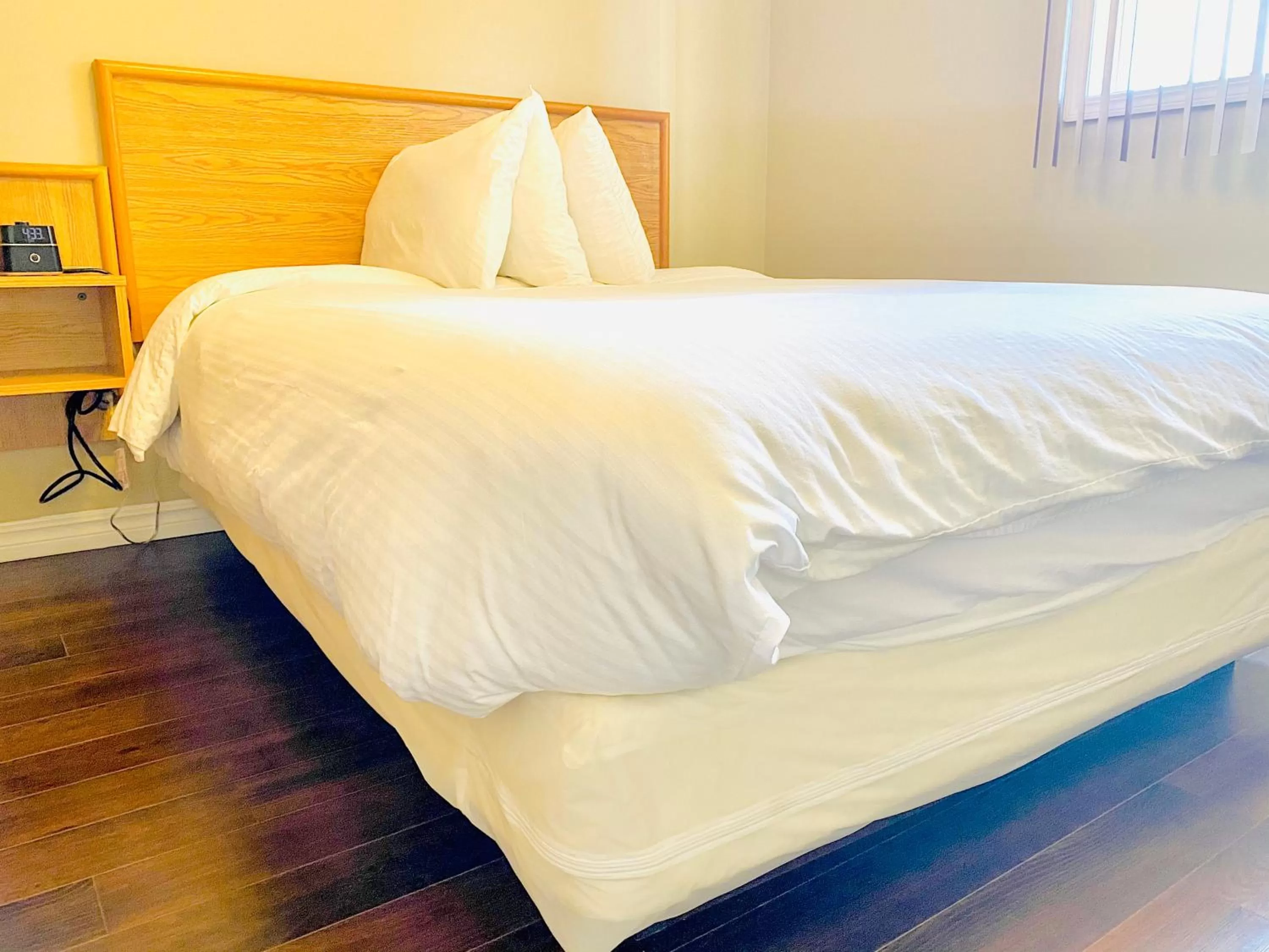 Bed in Twilight Country Motel