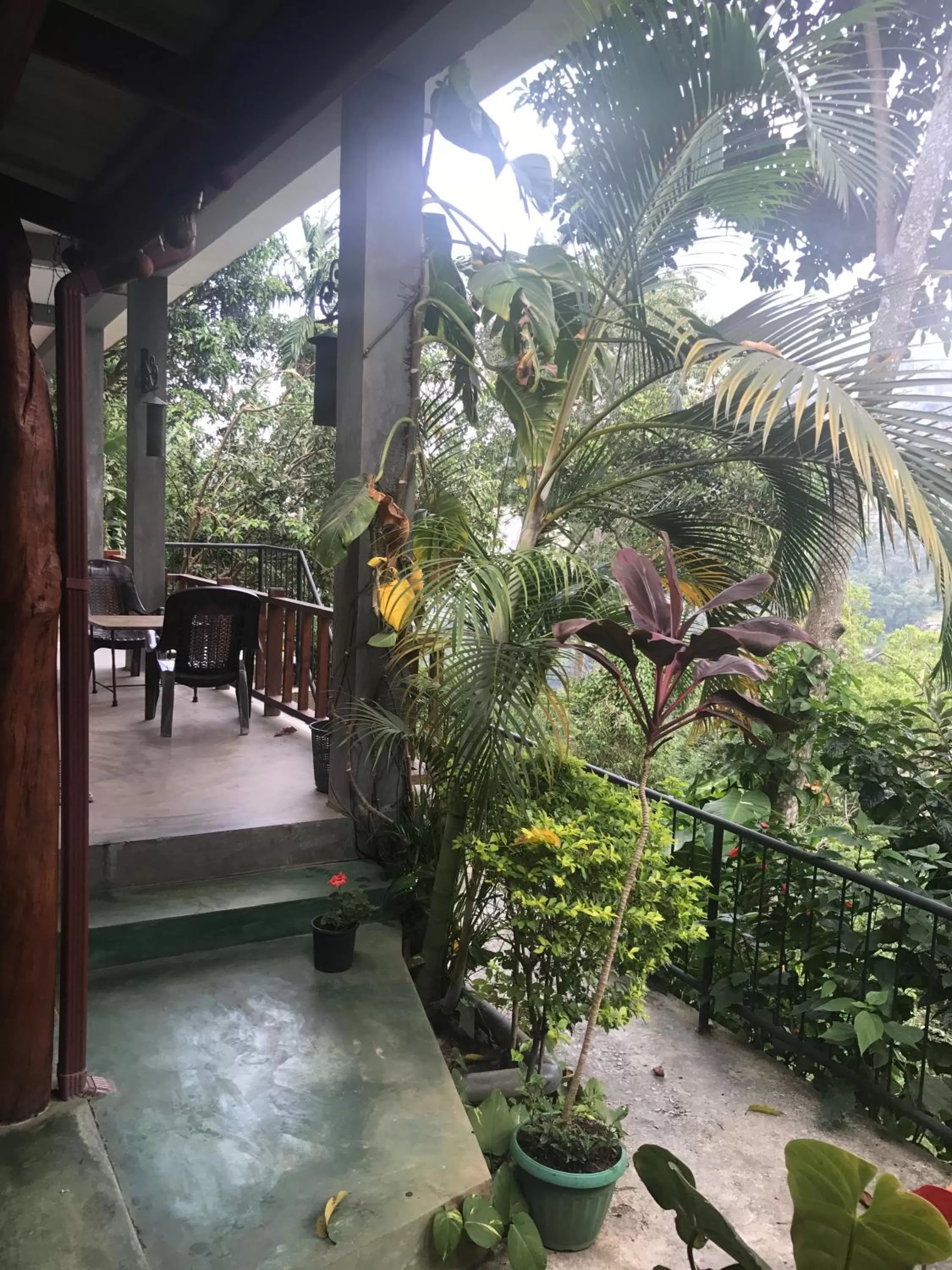 Balcony/Terrace in Raveena Guest House