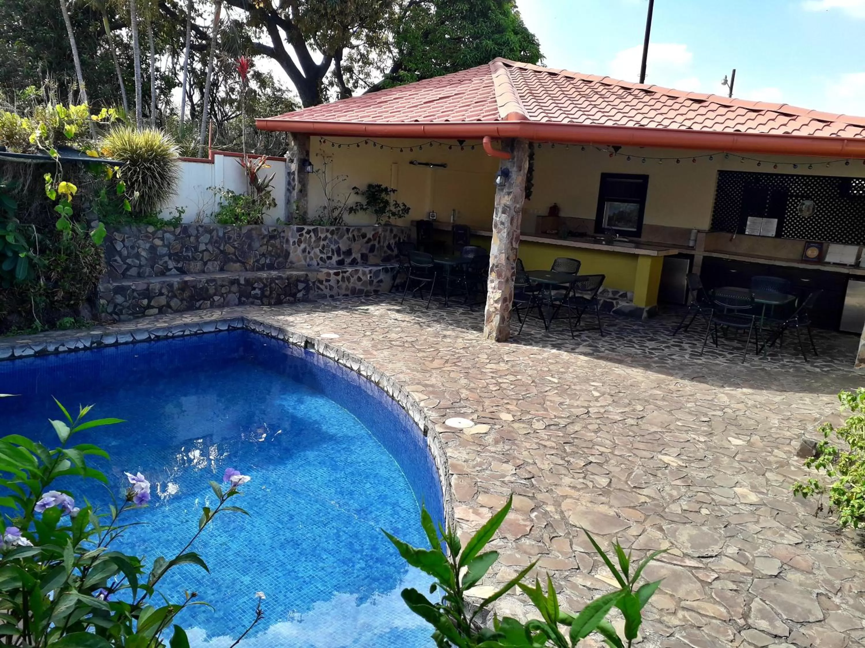 Area and facilities, Swimming Pool in Dos Palmas Studio Apartments