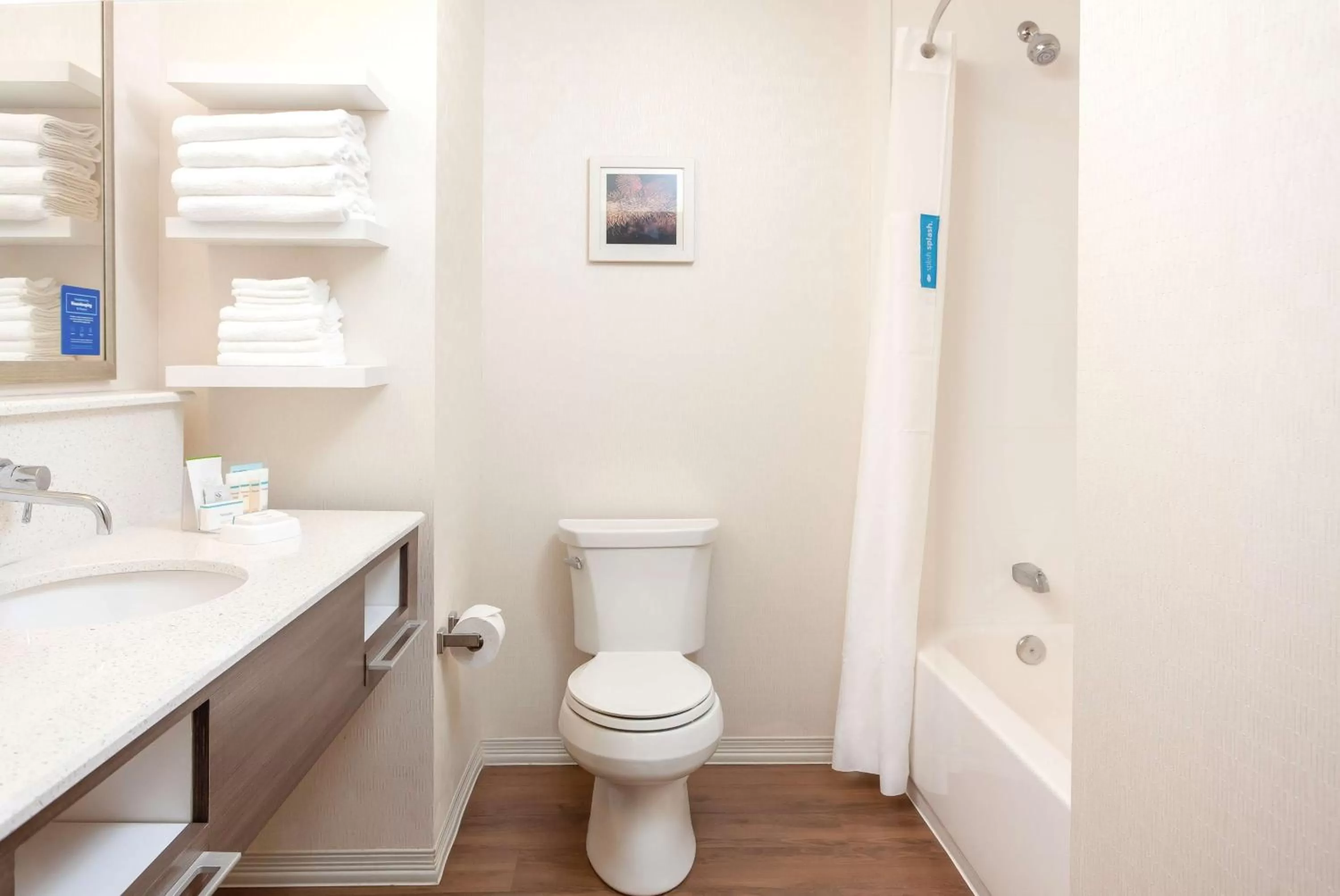 Bathroom in Hampton Inn & Suites Niles/Warren, OH