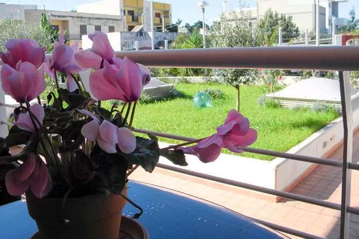 Pool View in Domus B&B