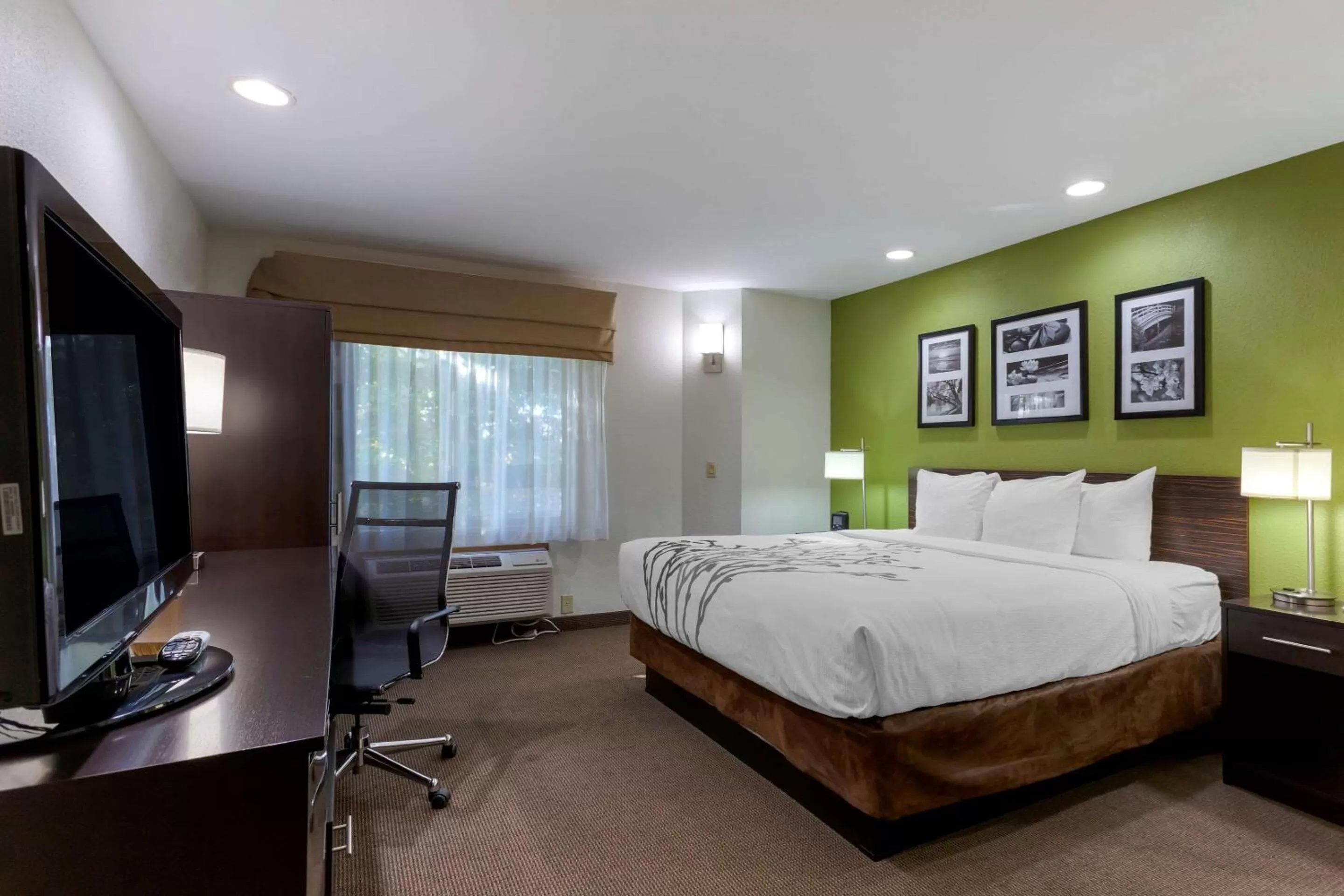 Bedroom, Bed in Sleep Inn Ontario