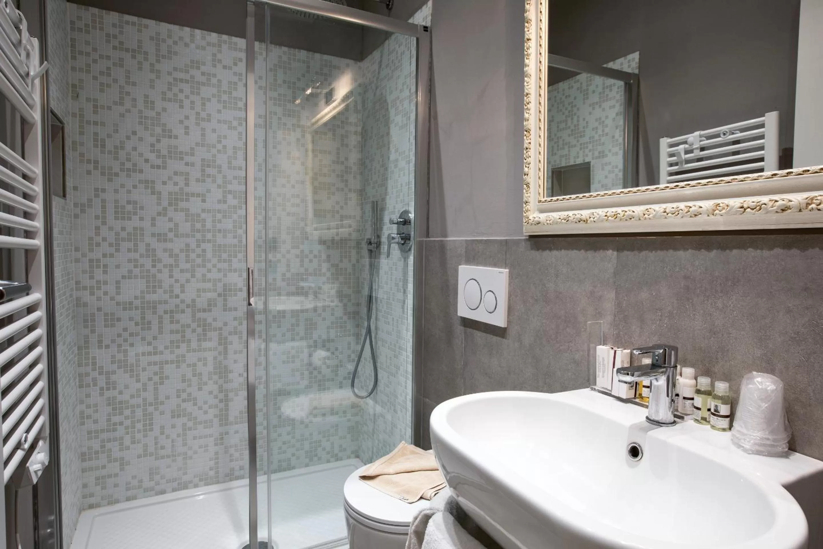 Bathroom in Badia Fiorentina