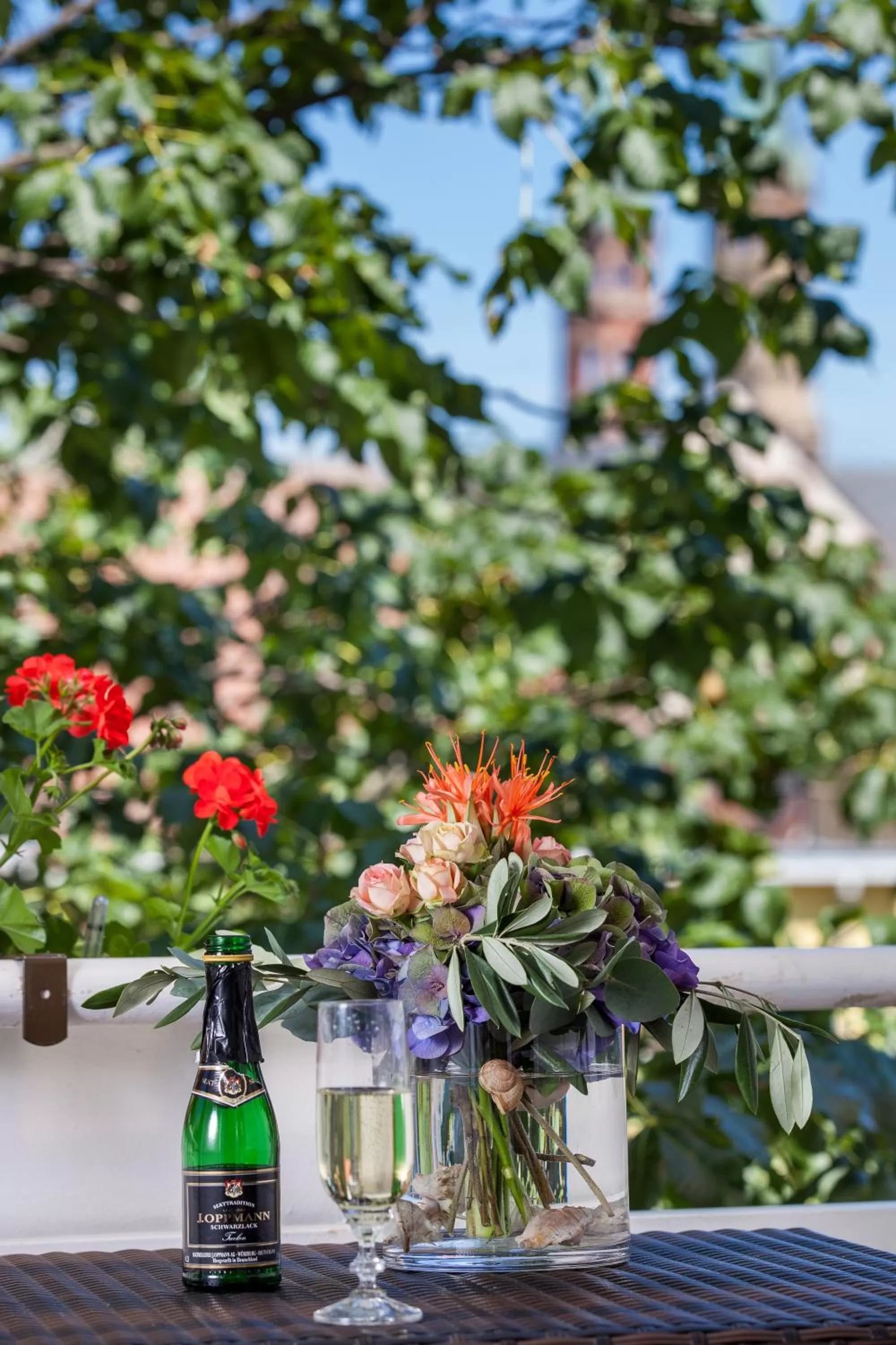 City view in Franziskaner