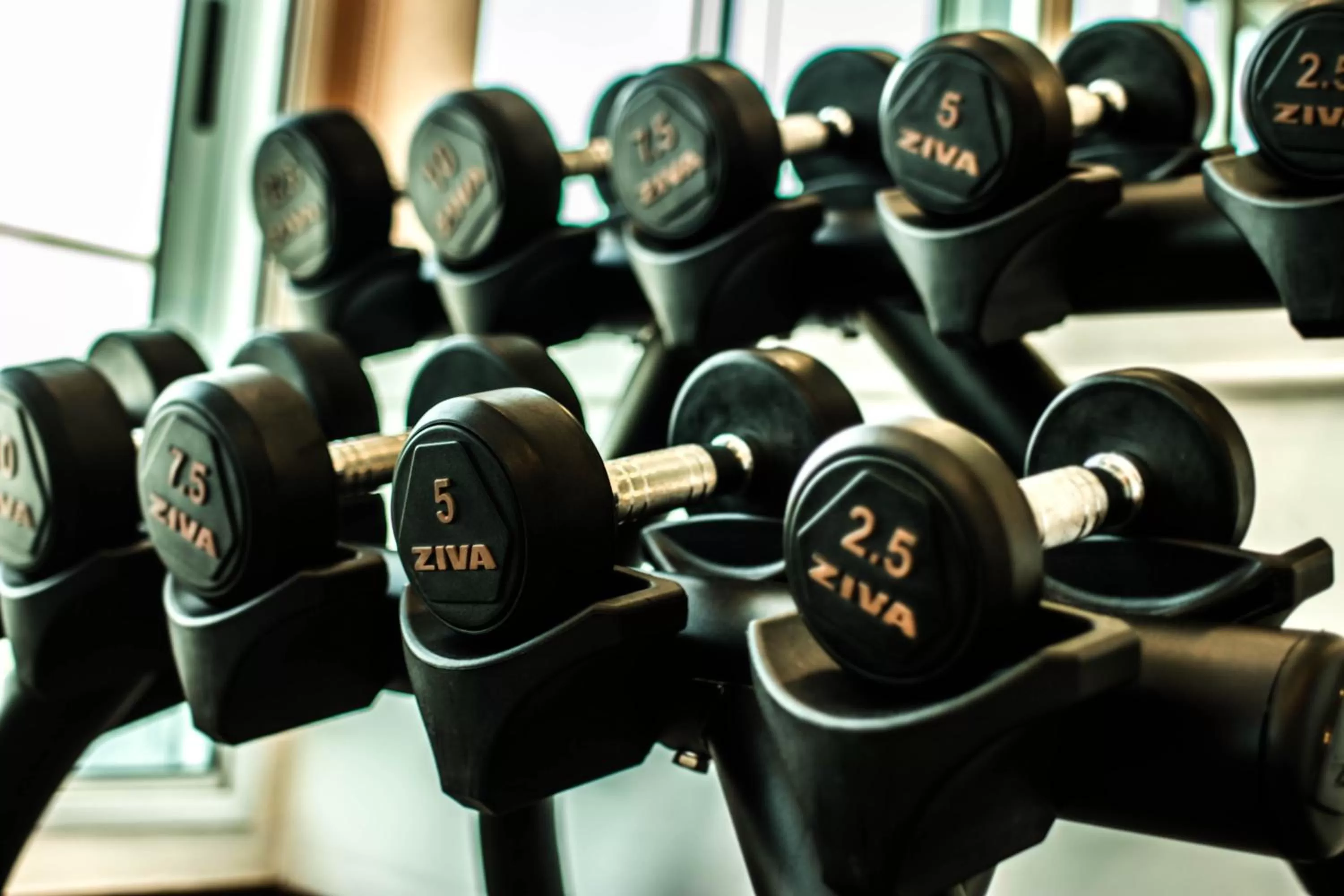 Fitness centre/facilities in Cala di Volpe Boutique Hotel