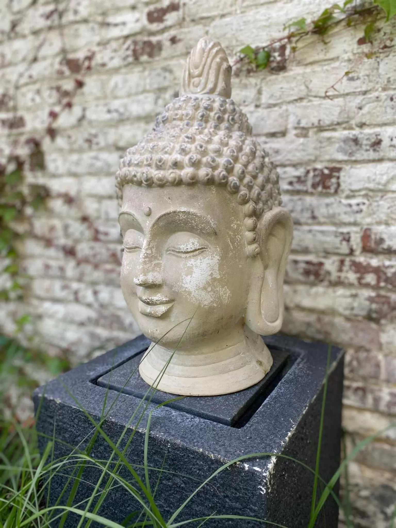 Hamiora wellness B&B