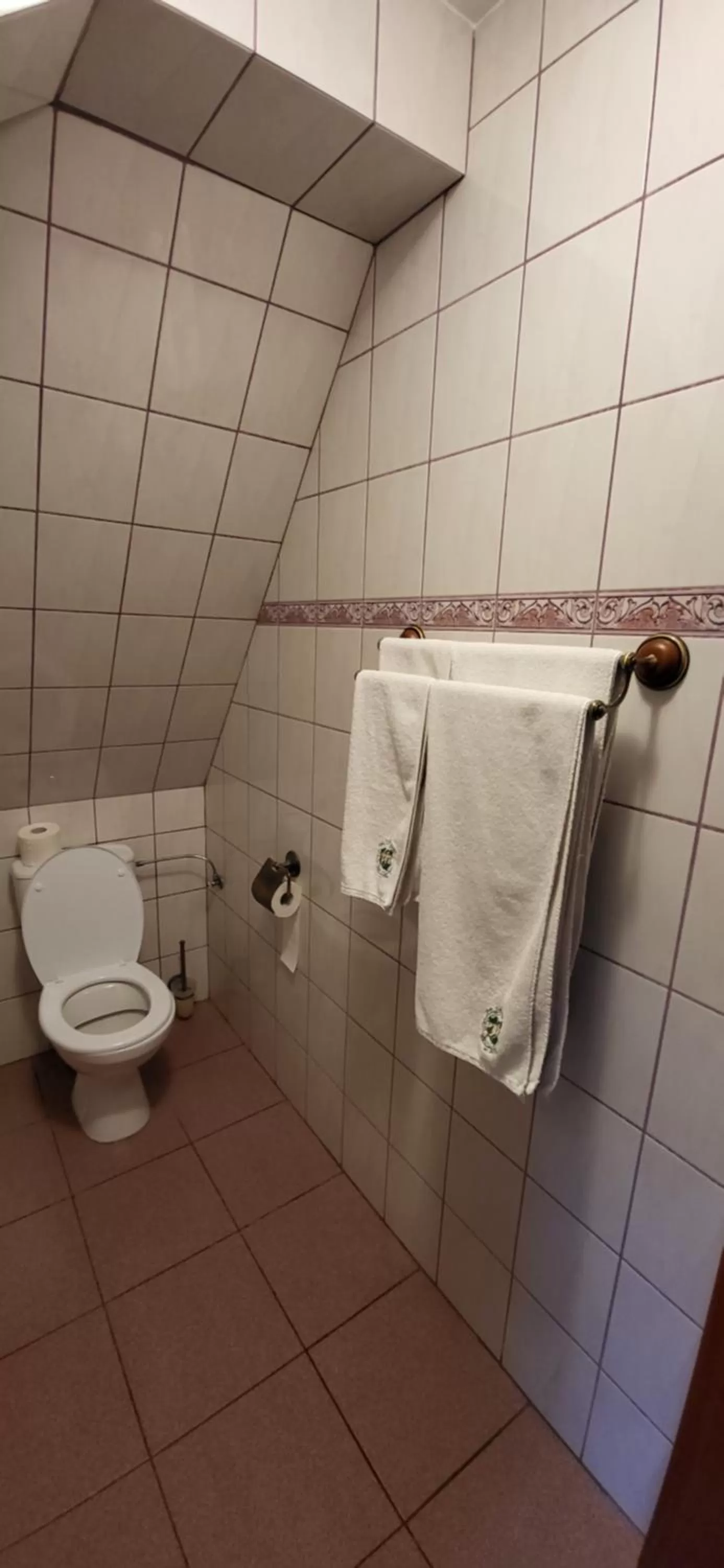 Toilet in Dom Schumannów