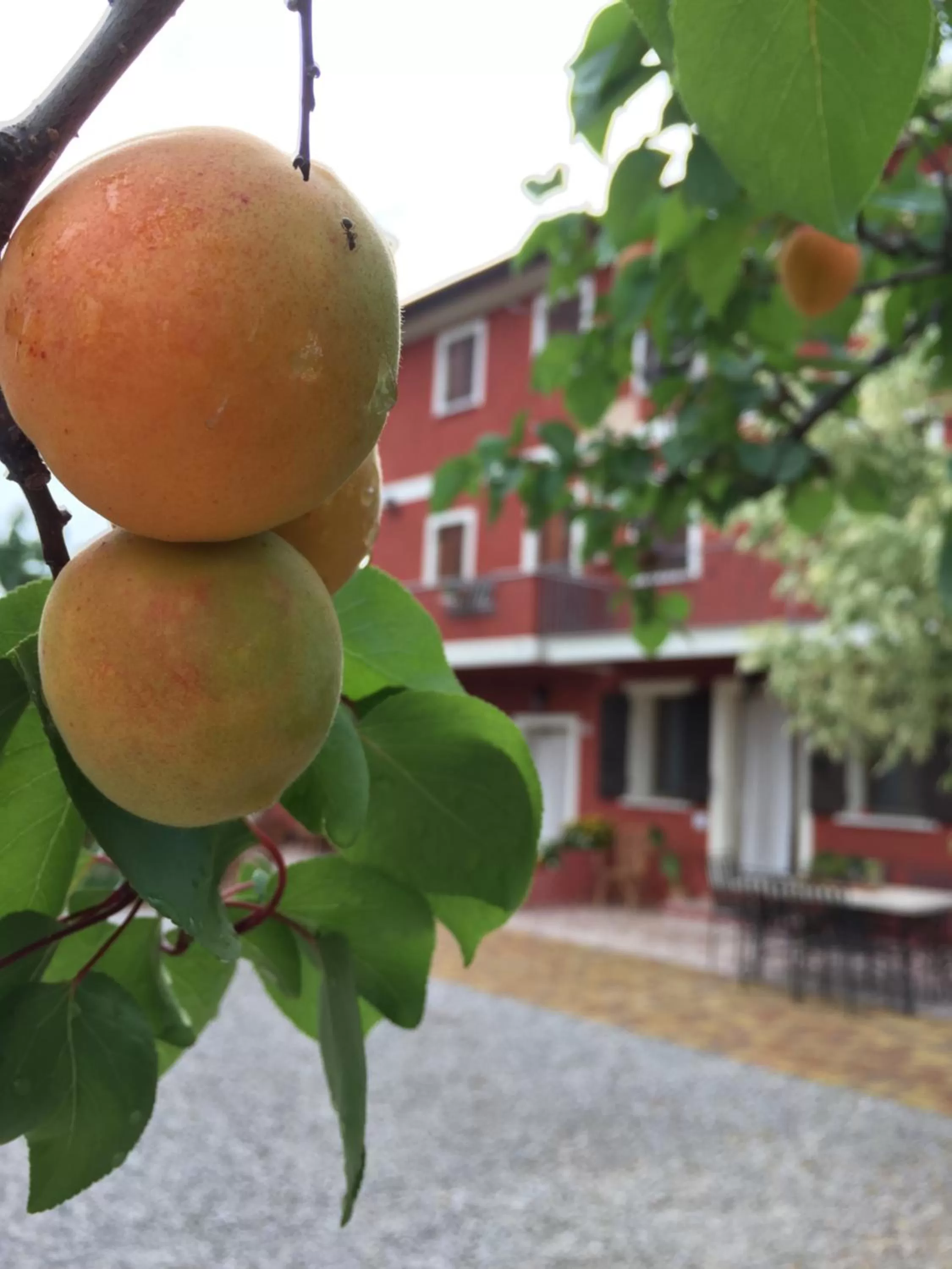 Property building in B&B Casa del Conte