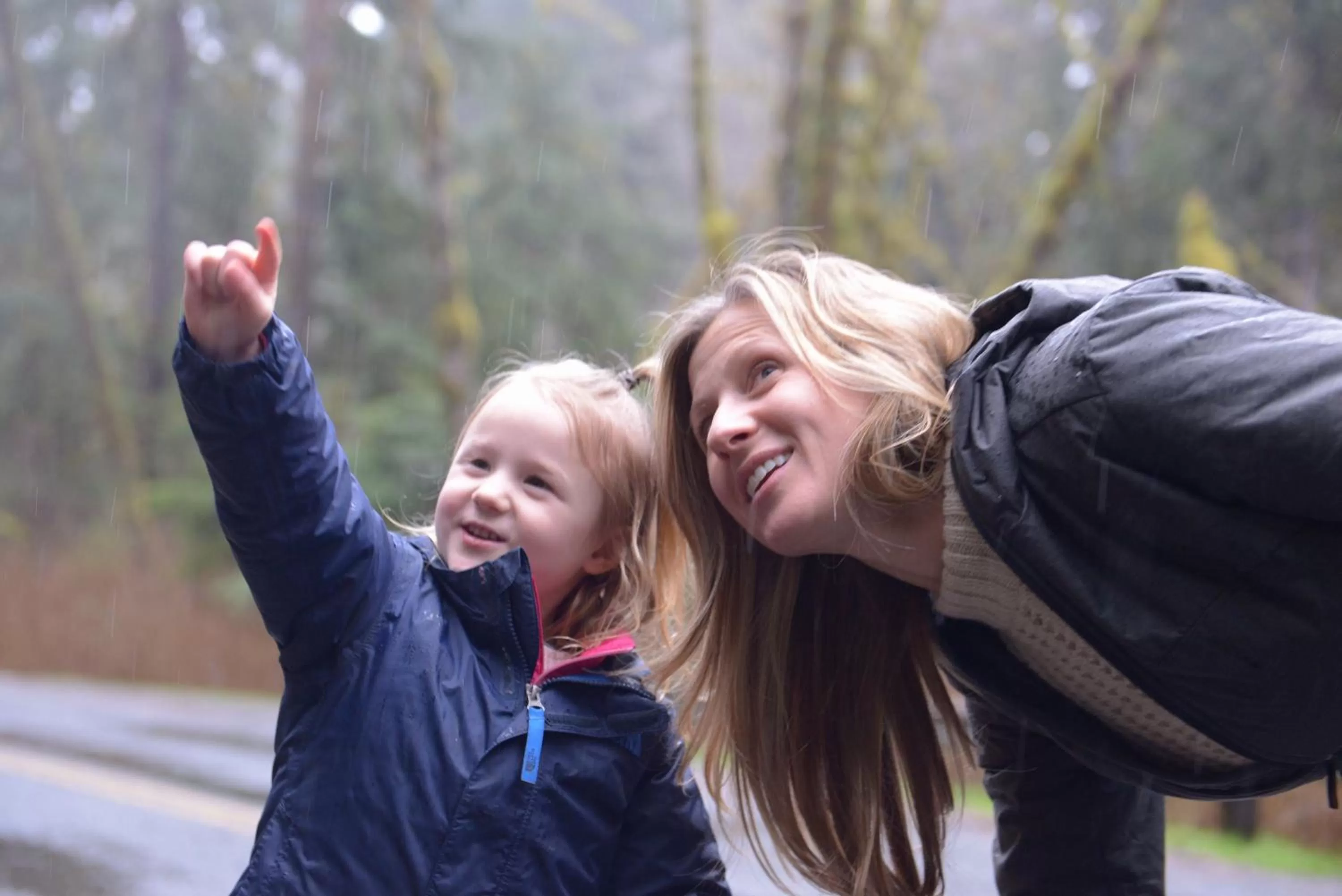 Activities in Lake Quinault Lodge