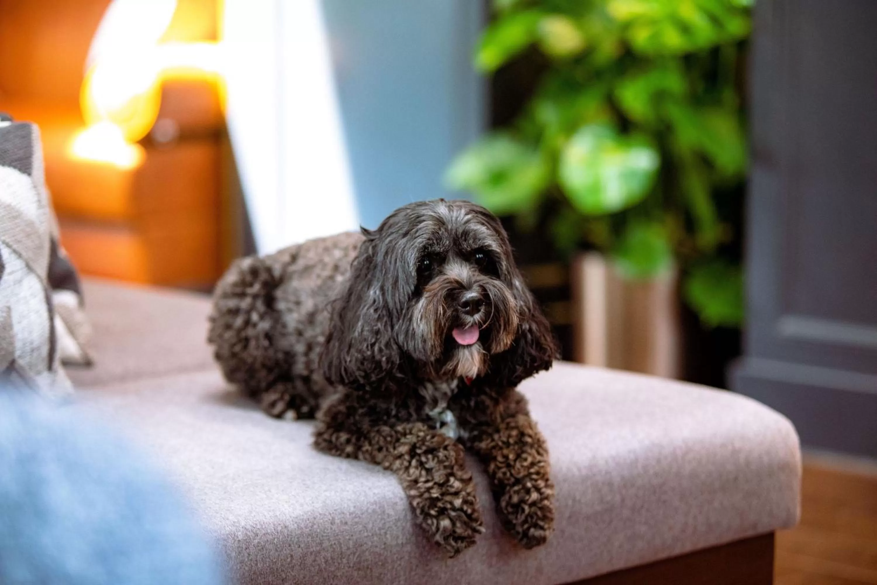 Other in The Union Club Hotel at Purdue University, Autograph Collection