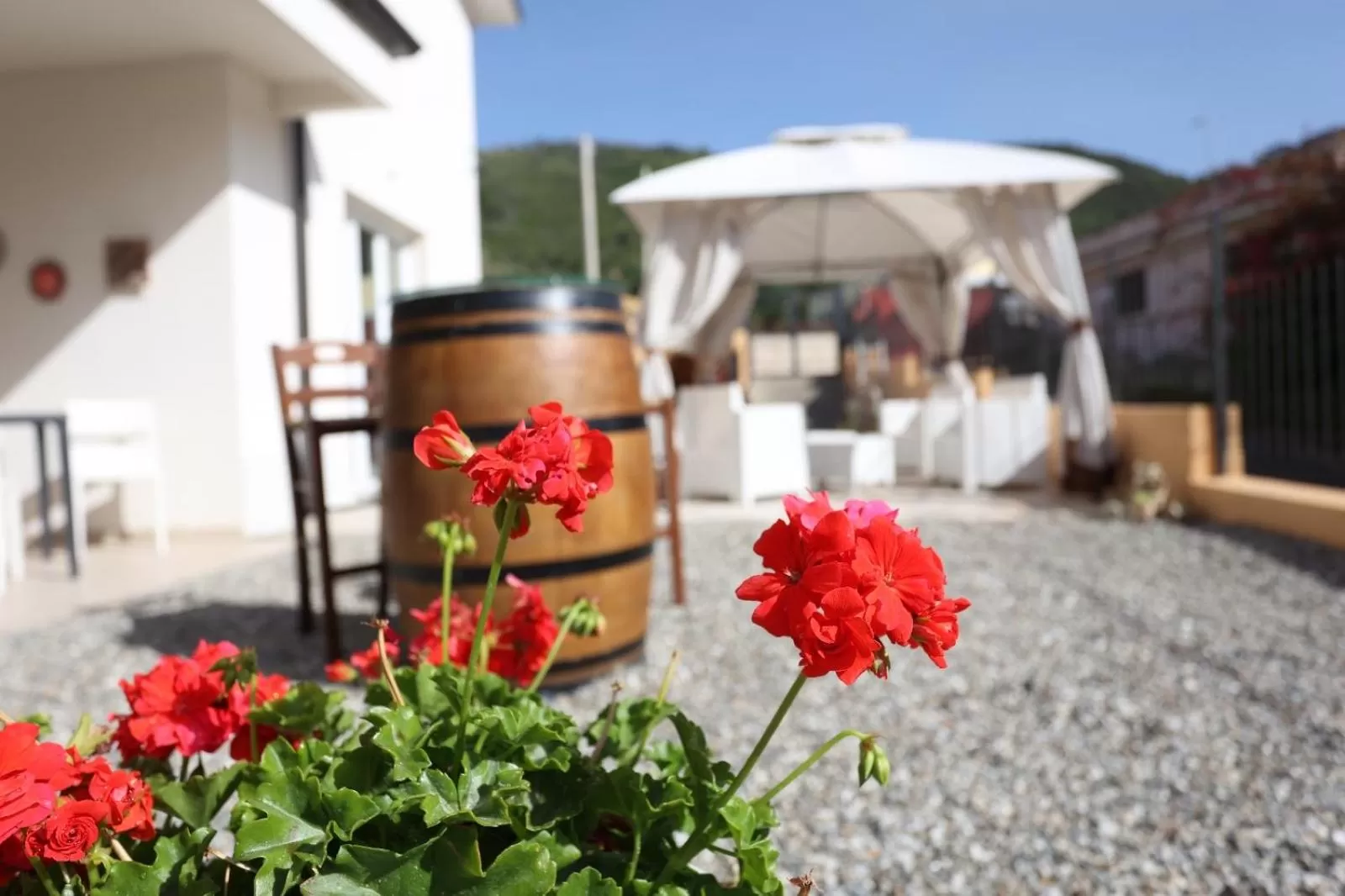 Patio in Residenza Atena