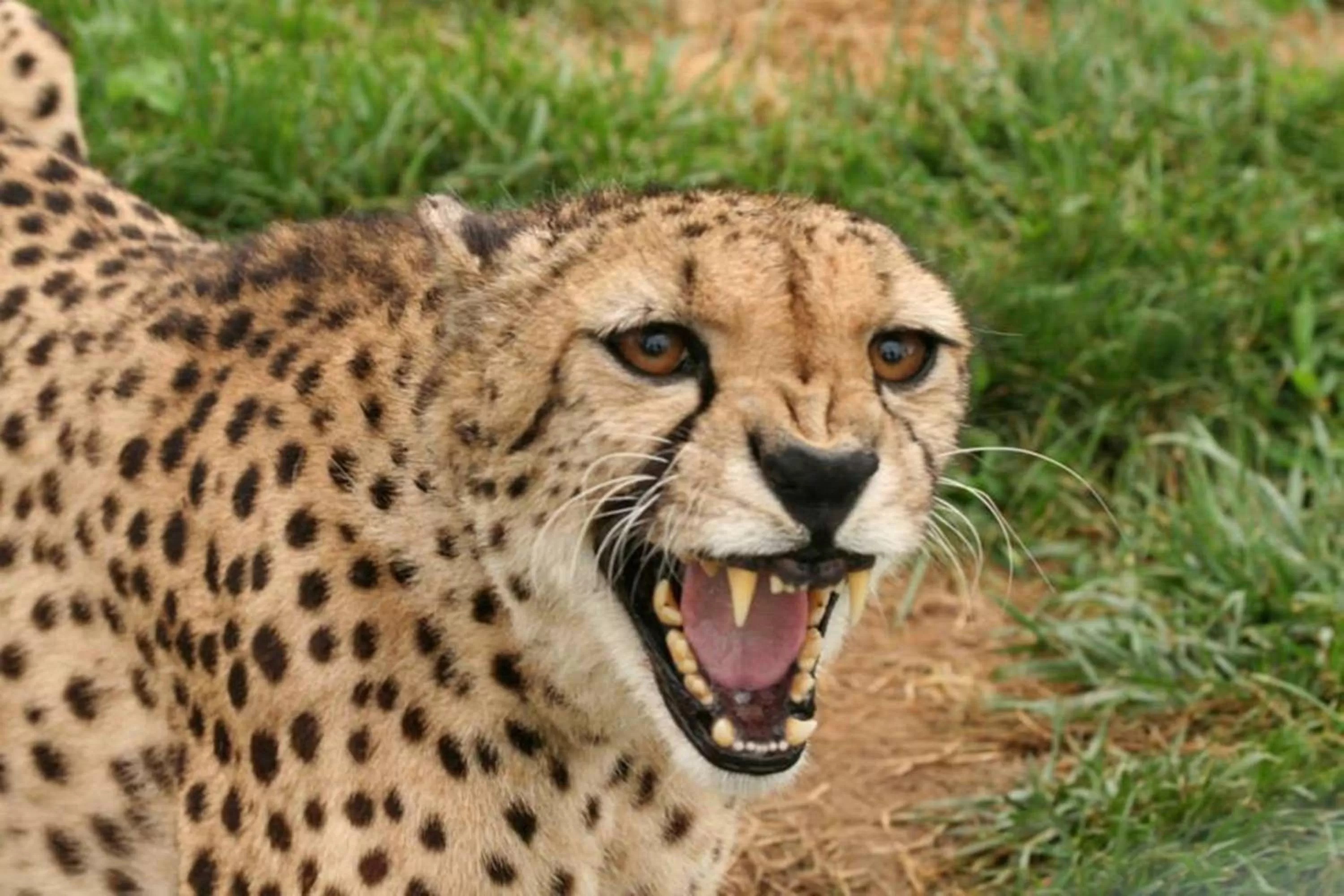 Nearby landmark in Holiday Inn Express & Suites Zanesville North by IHG