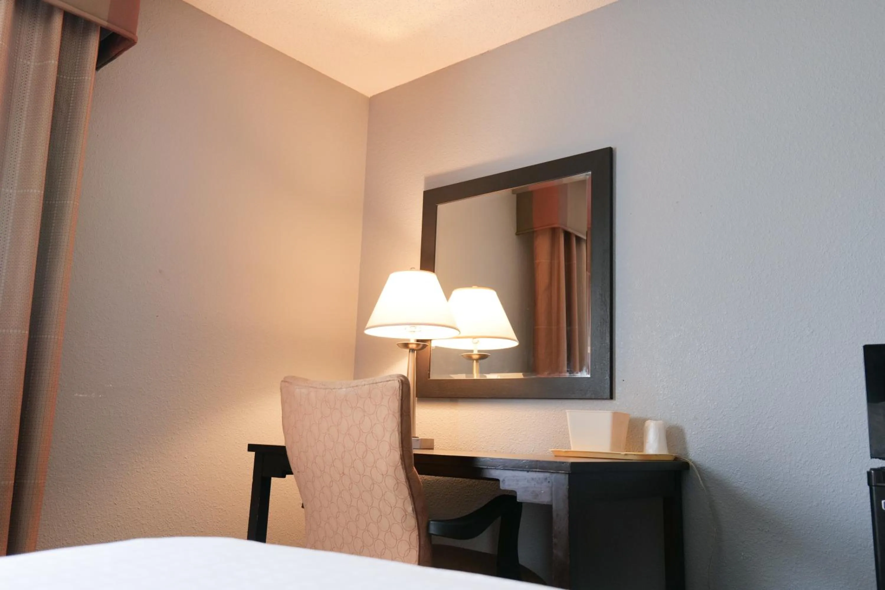 hair dresser, Bed in Baymont by Wyndham Flint Airport North