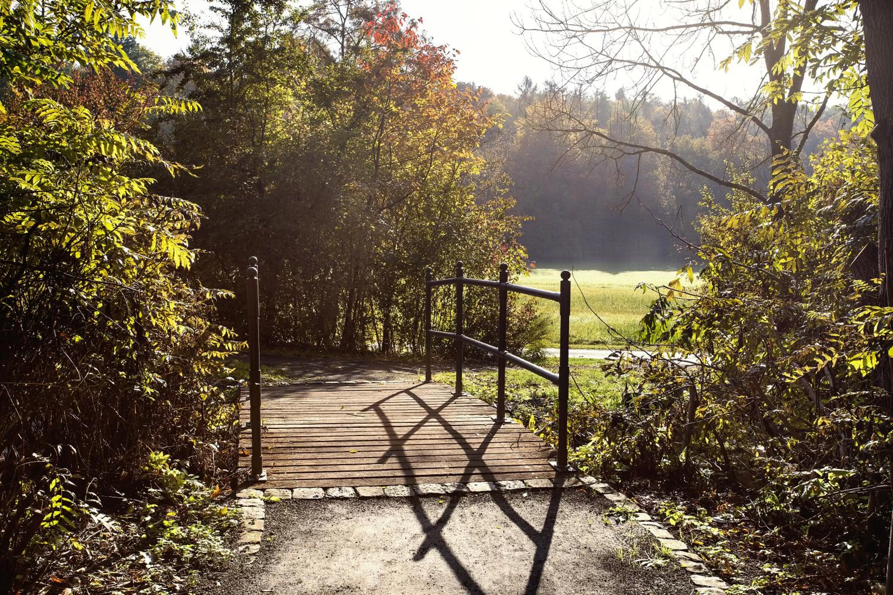 Off site in Kurhaushotel Bad Salzhausen
