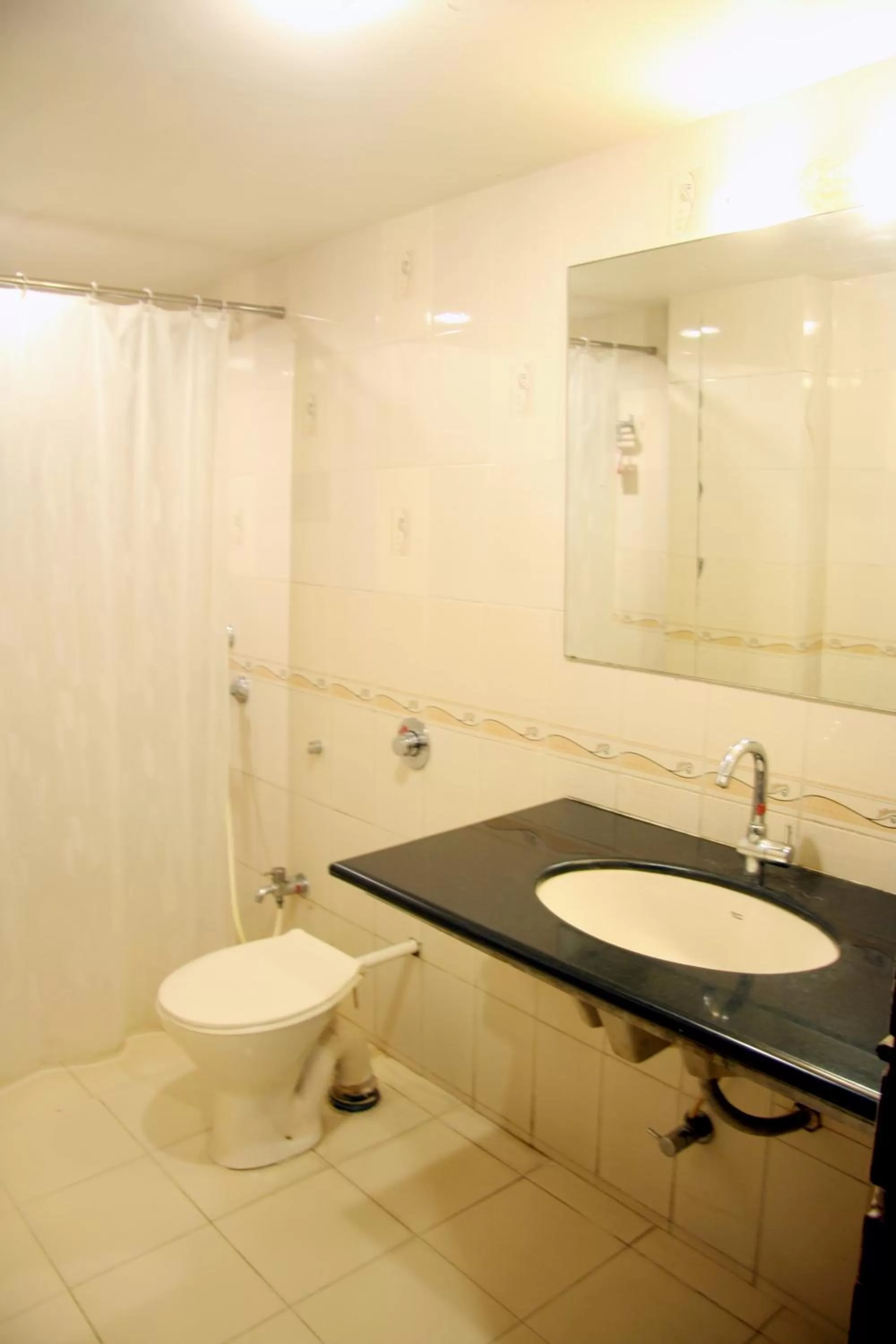 Toilet in Hotel Jawahar