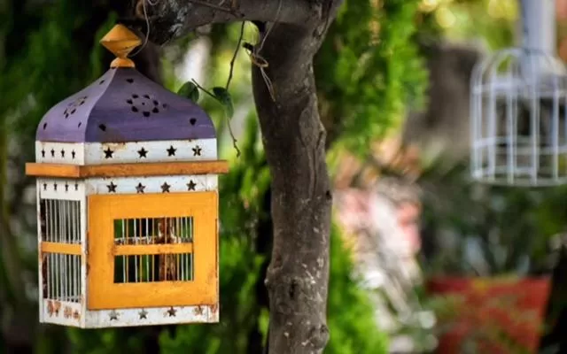 Hotel boutique Teocalli