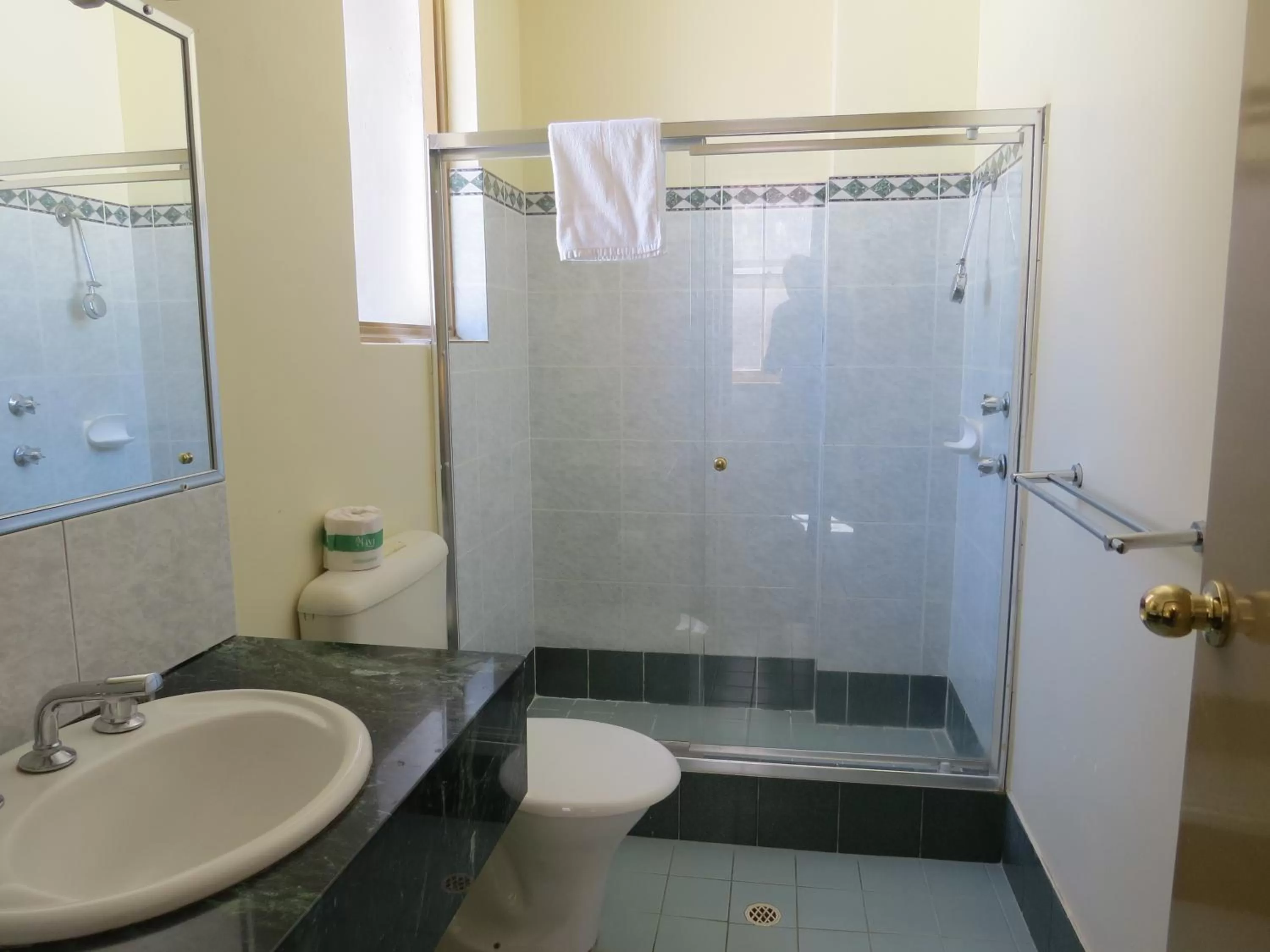 Toilet in Criterion Hotel Perth