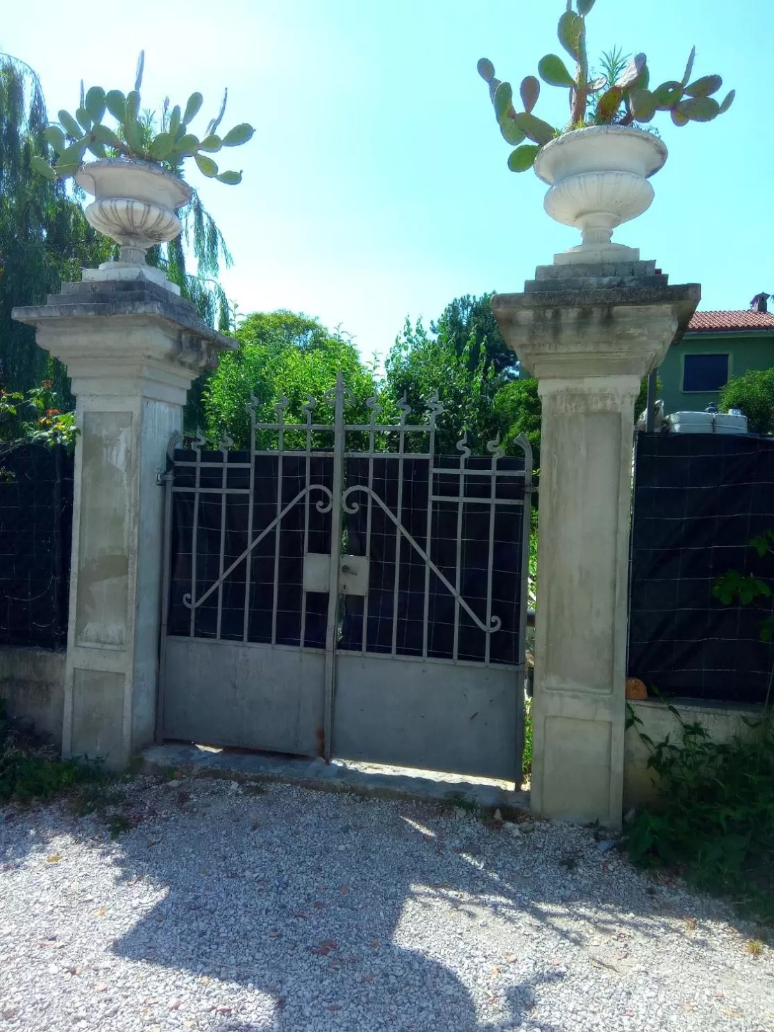 Garden in Villa Fiorita