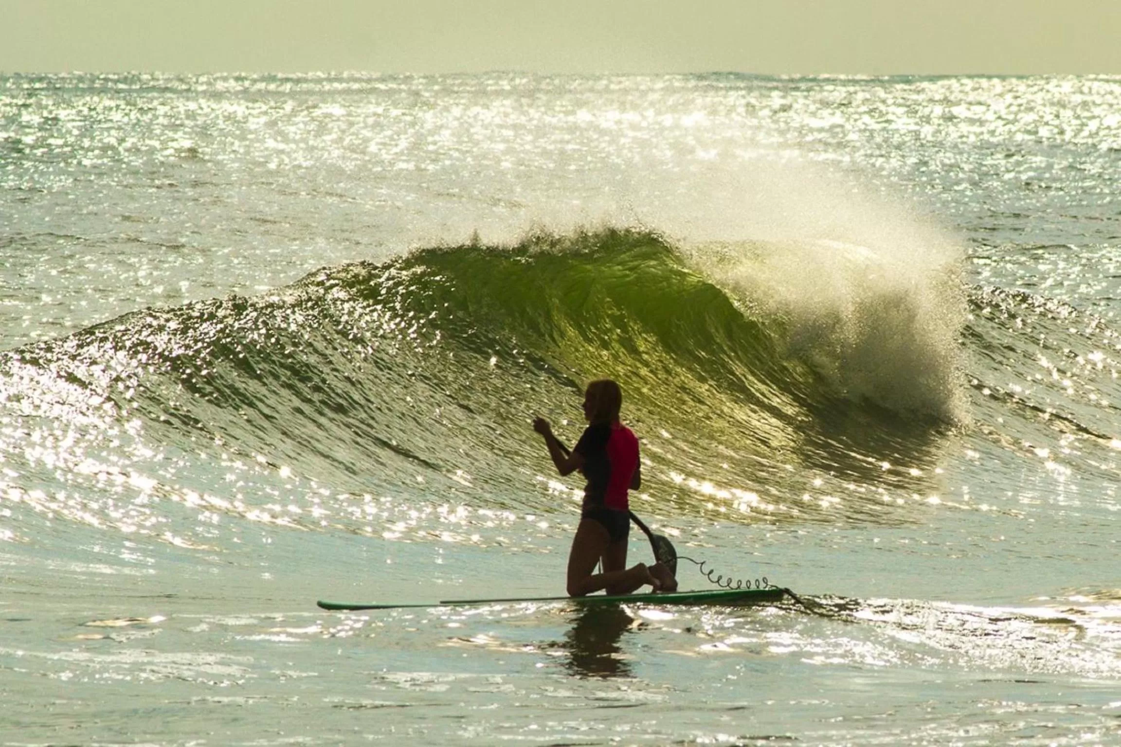 Day in Black Dolphin Inn