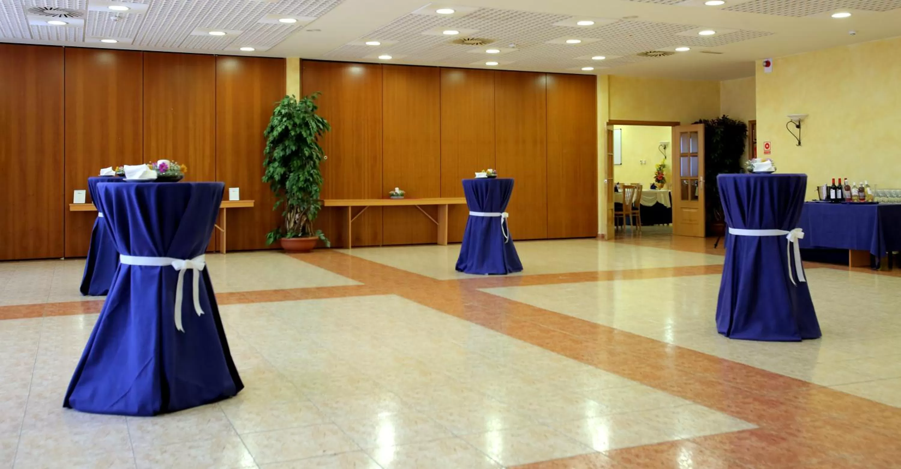 Nightclub / DJ in Hospedium Hotel Don Fidel