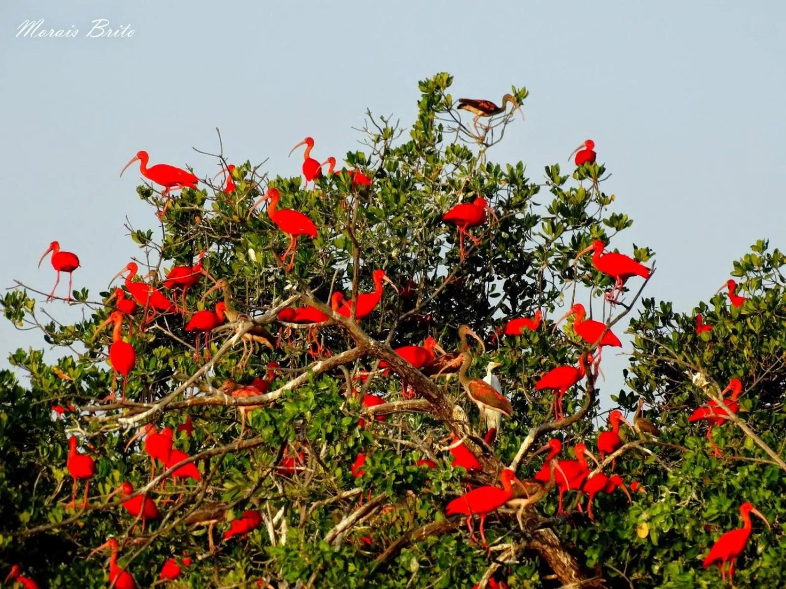 Day in Pousada Vila do Carmo