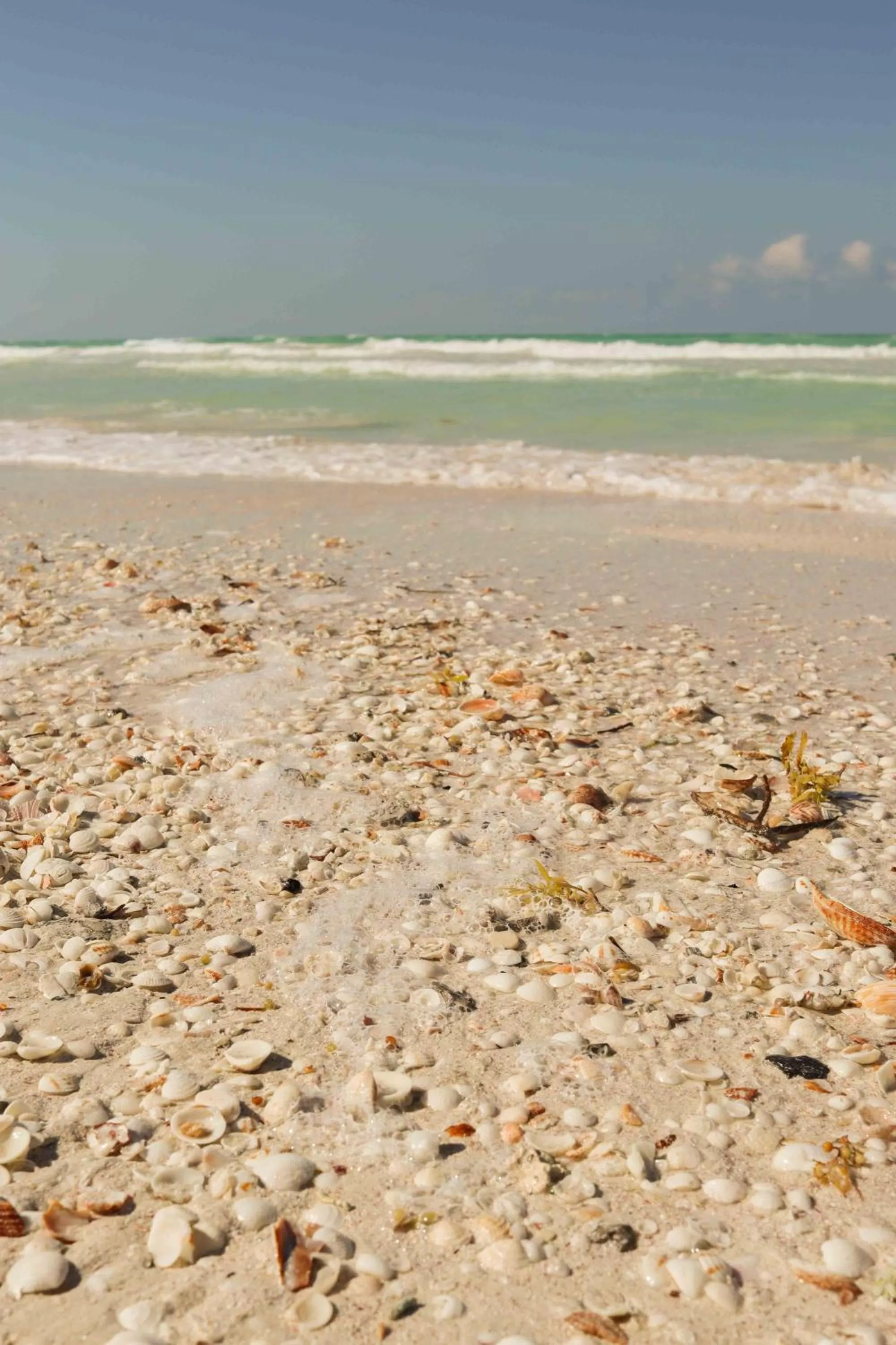 Beach in Casa Mate BeachFront Cabañas El Cuyo