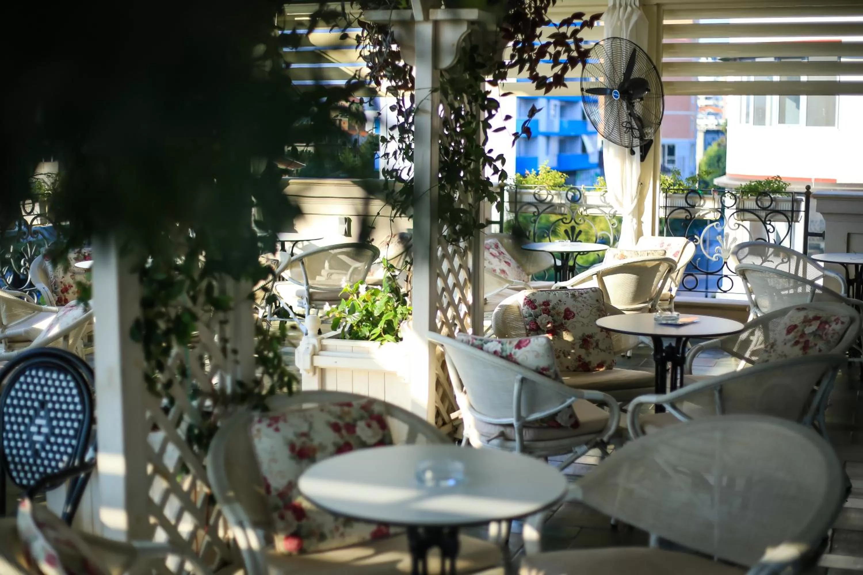 Meals in Hotel Monarch