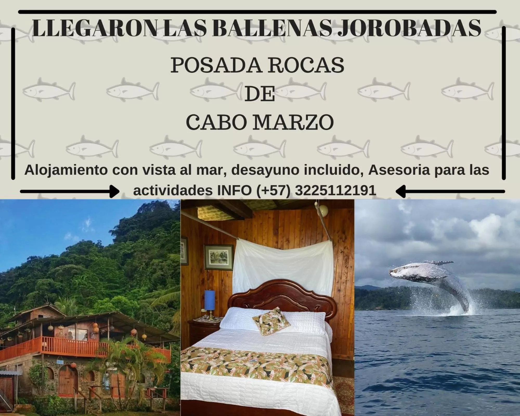 Property logo or sign in Posada Turística Rocas De Cabo Marzo