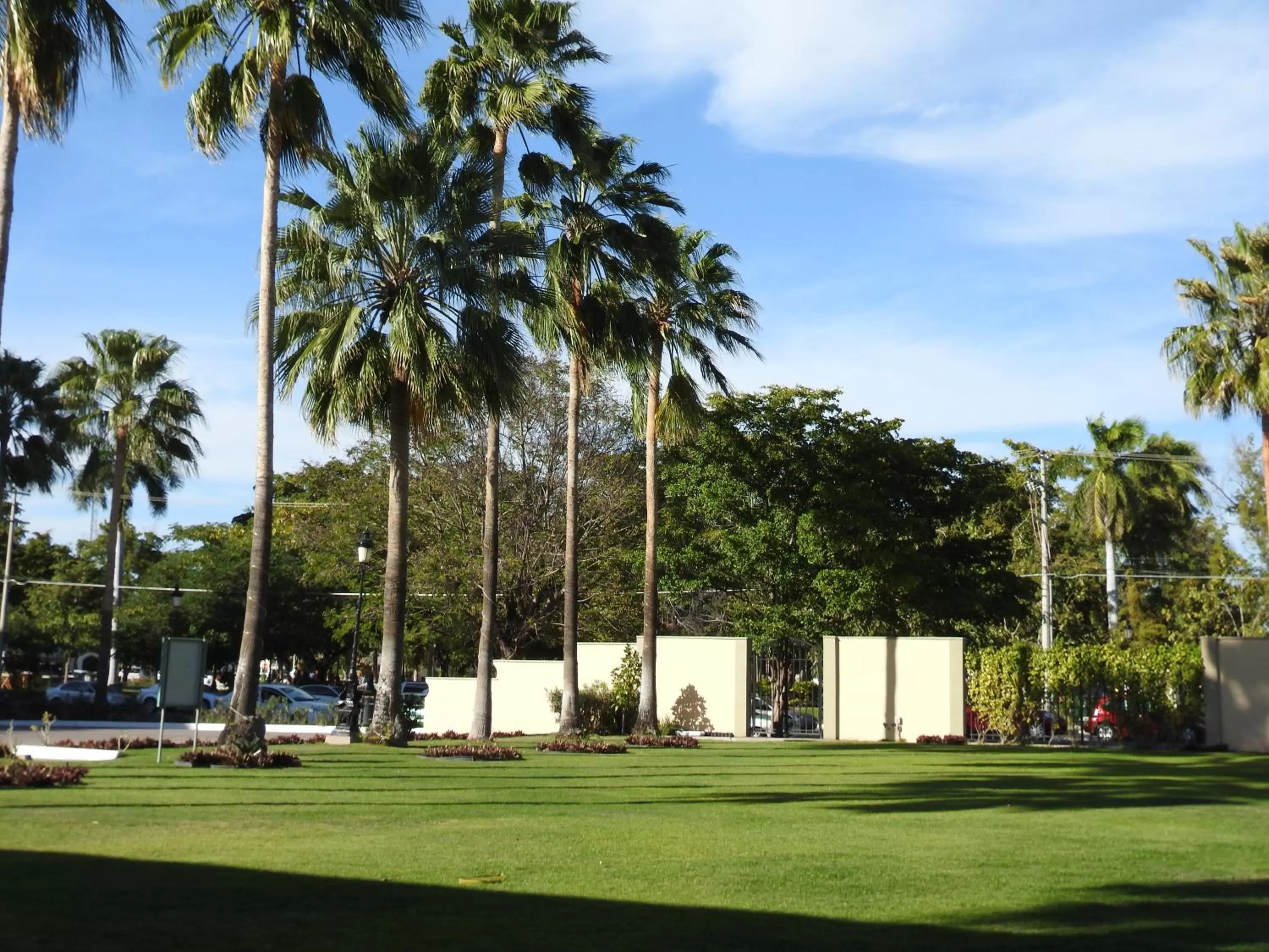 Garden in Best Western PLUS Los Mochis