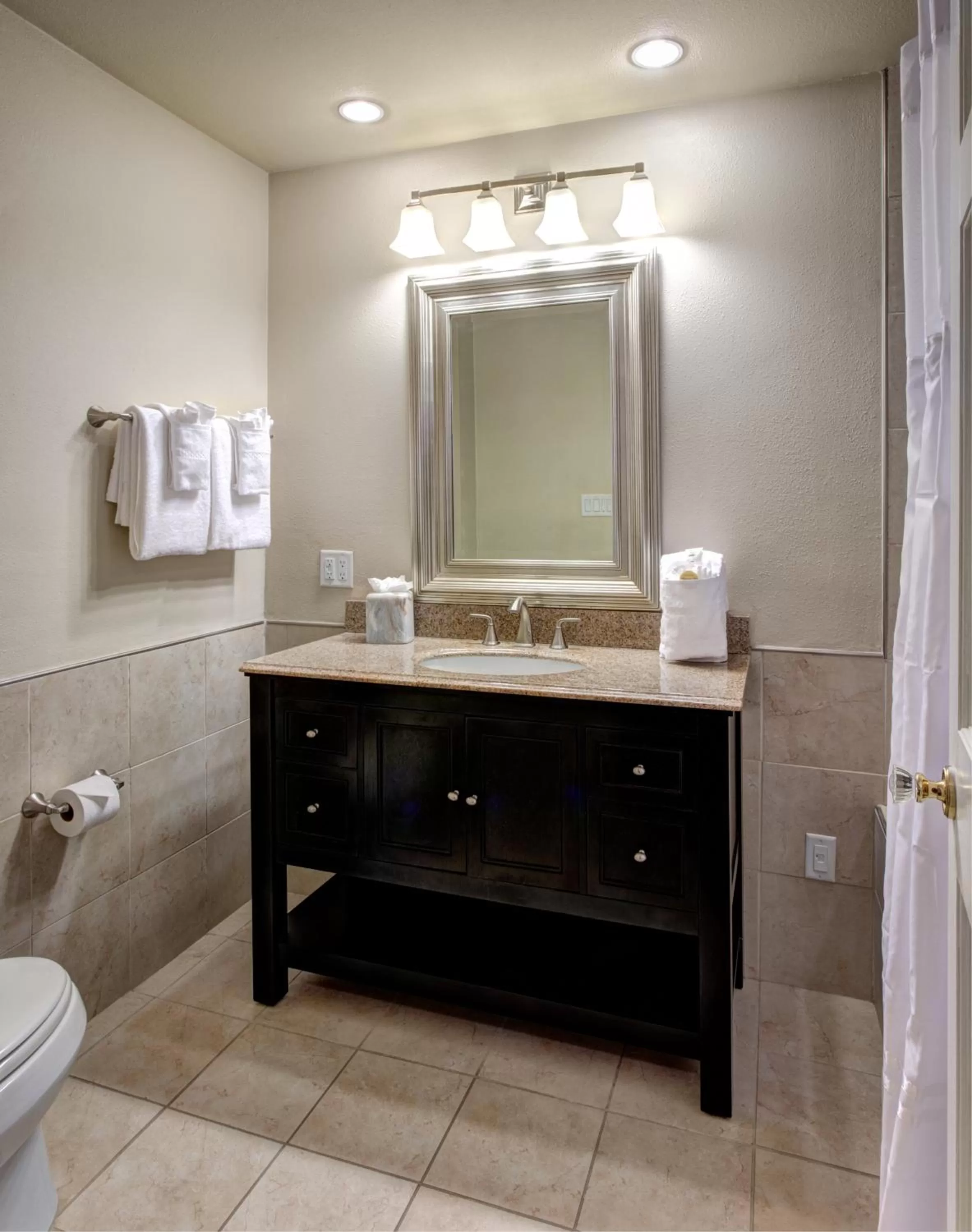 Toilet in Hotel St. Pierre French Quarter