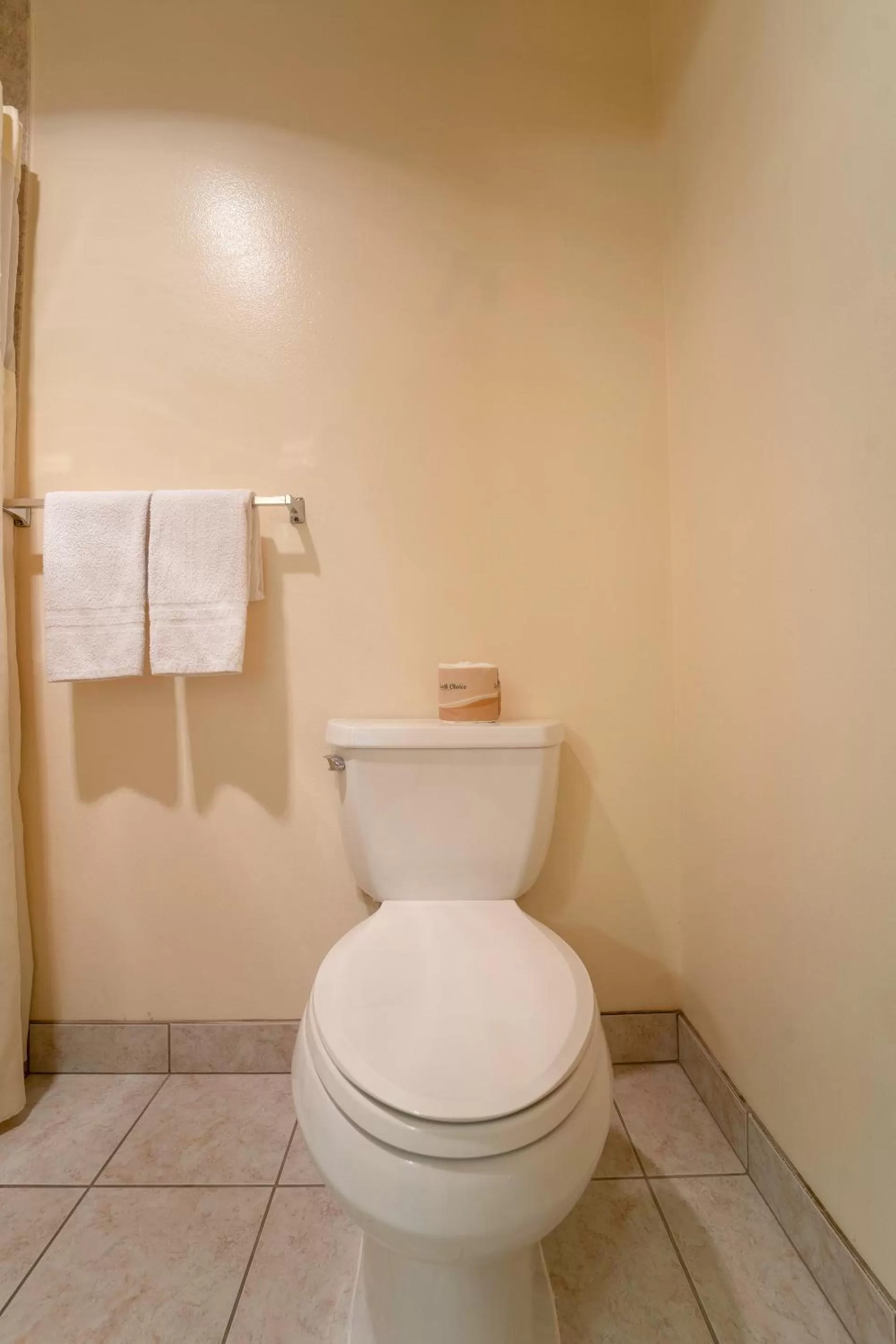 Bathroom in Royal Plaza Inn