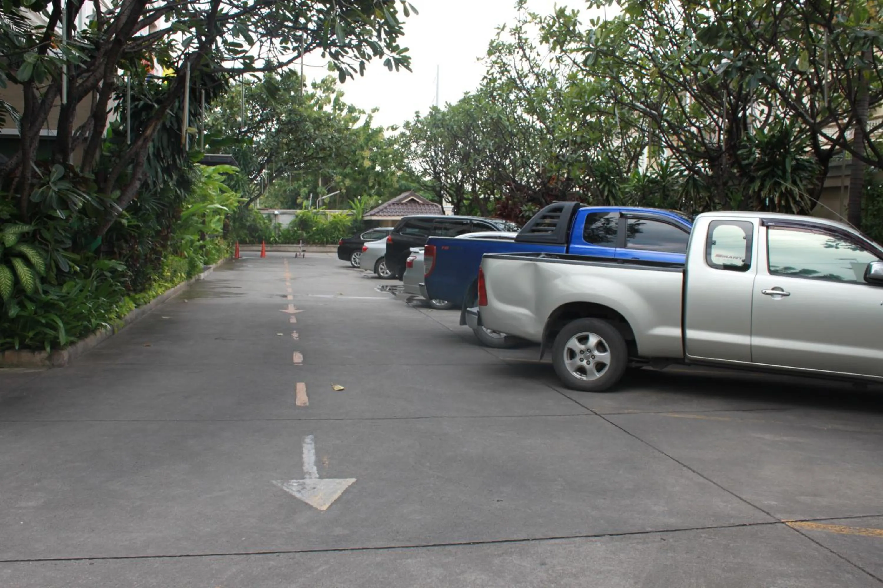 Natural landscape in 14 Place