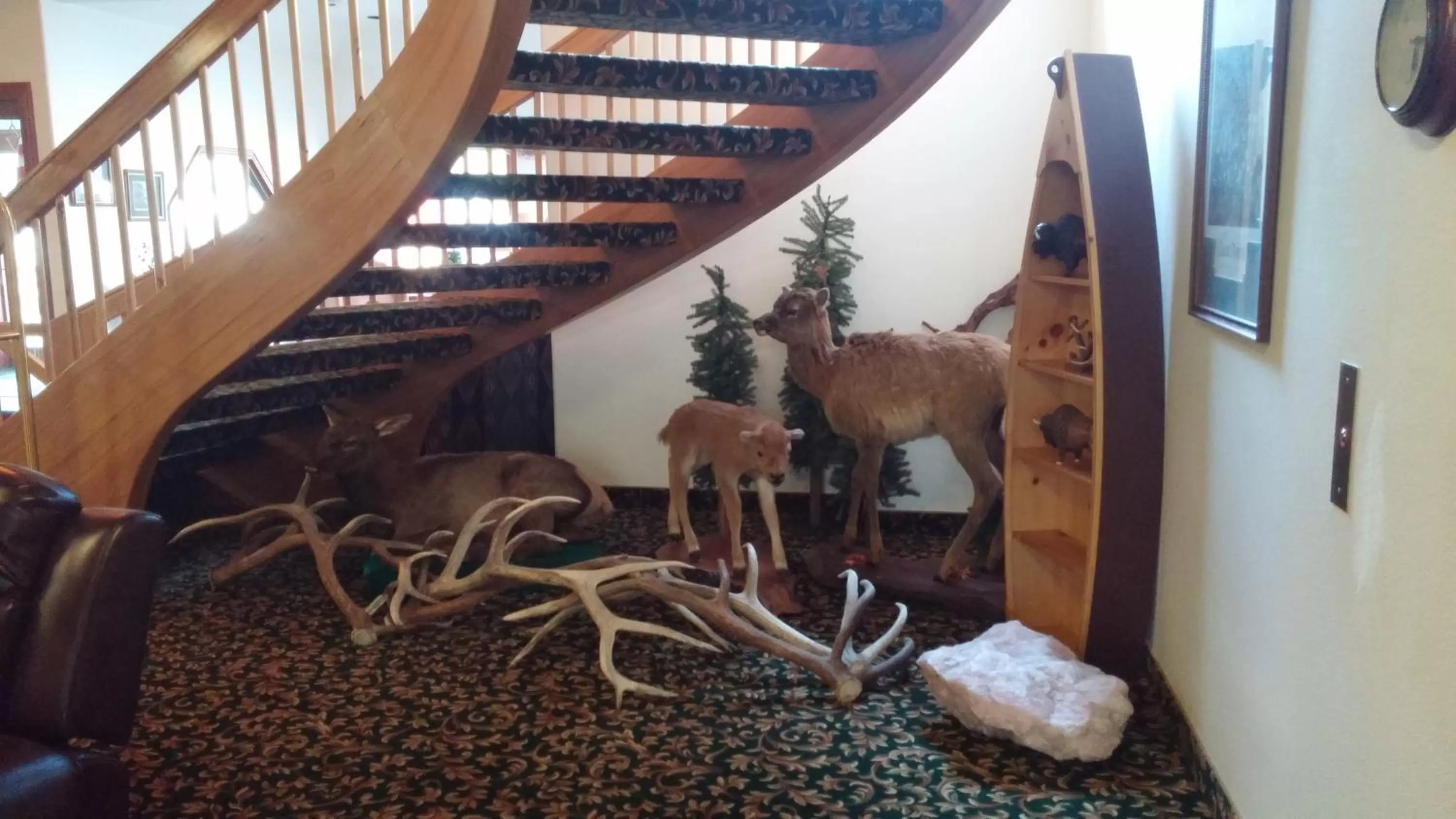 Lobby or reception in Greenwood Village Inn & Suites