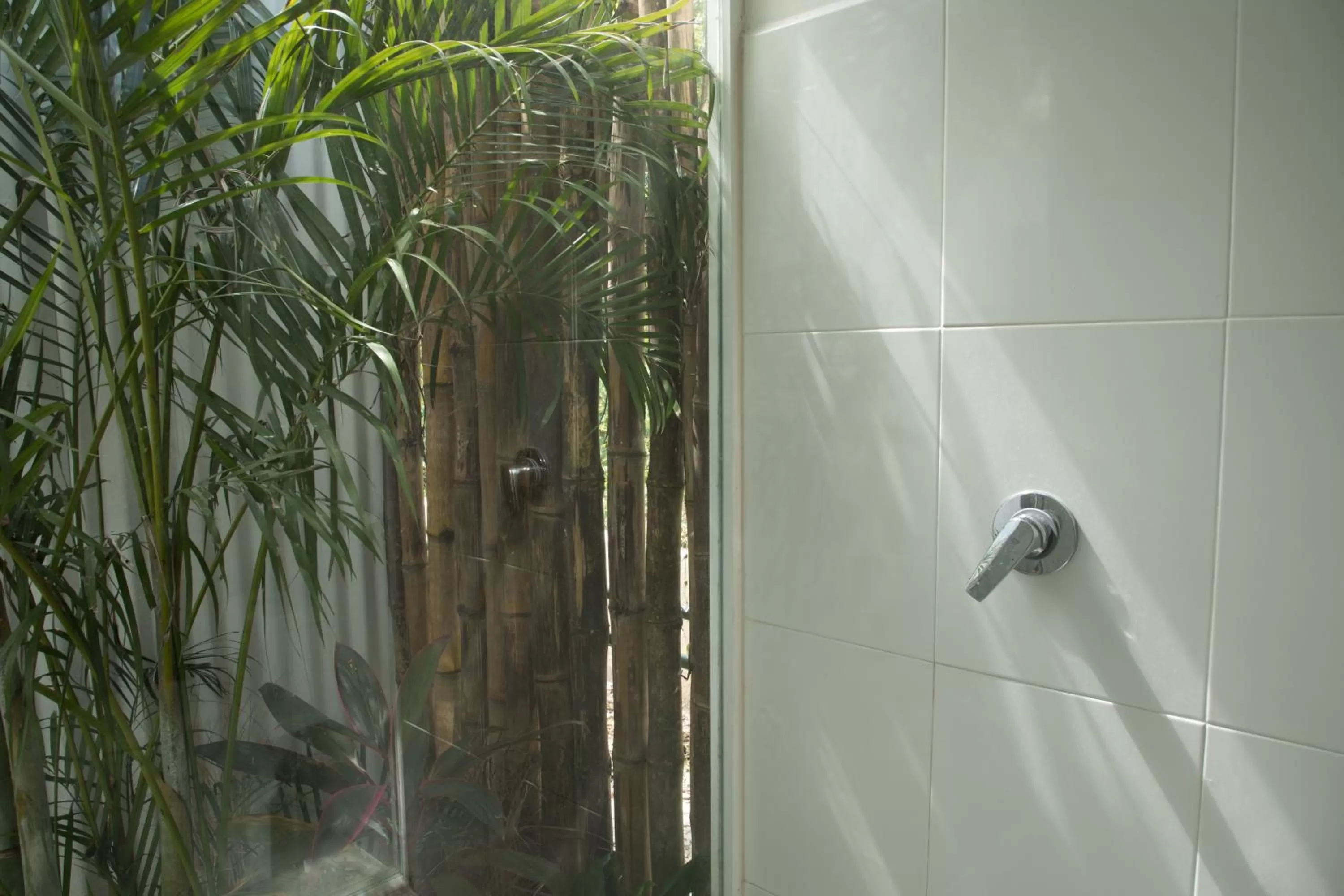 Shower in Zensus Eco Boutique Hotel