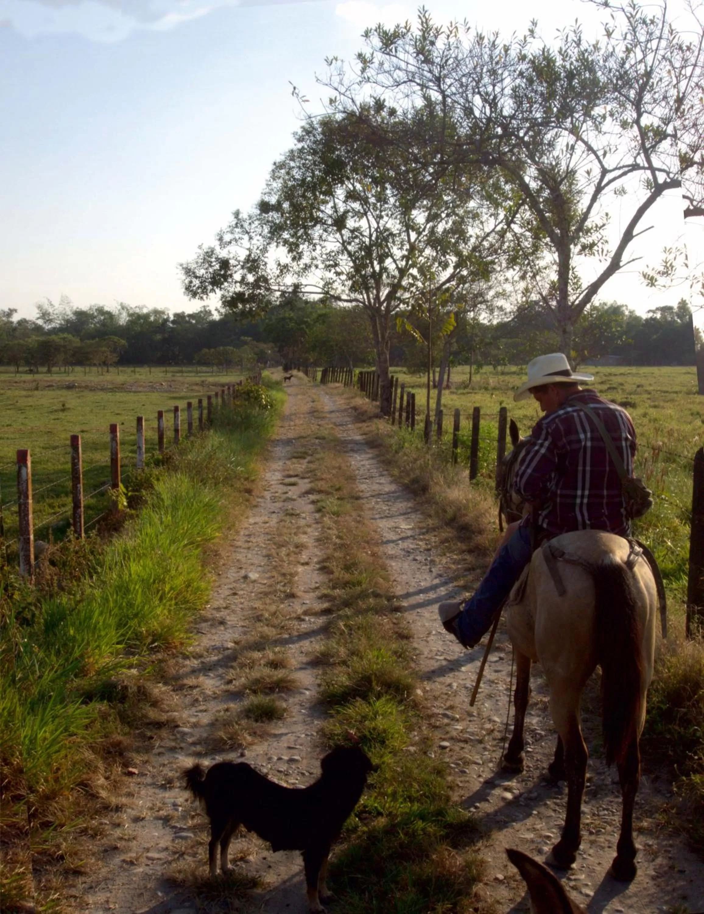Animals in Hotel Rio Humadea