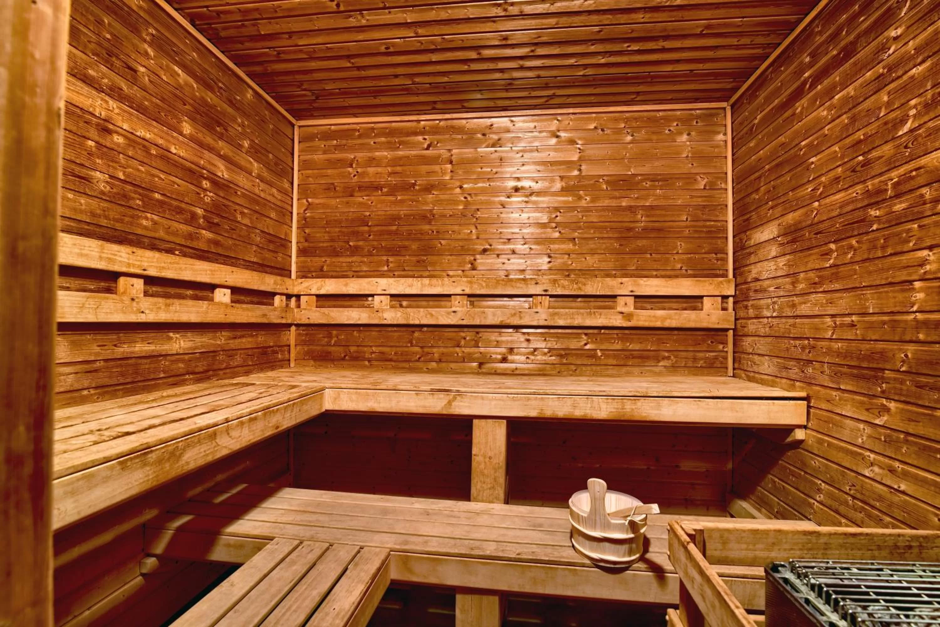 Sauna in Roosevelt Inn & Suites Saratoga Springs