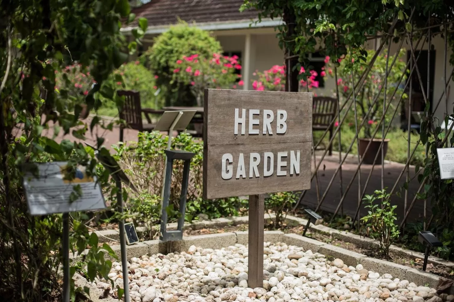 Garden in Sabah Hotel