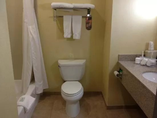 Bathroom in Holiday Inn Express Hotel & Suites Torrington by IHG