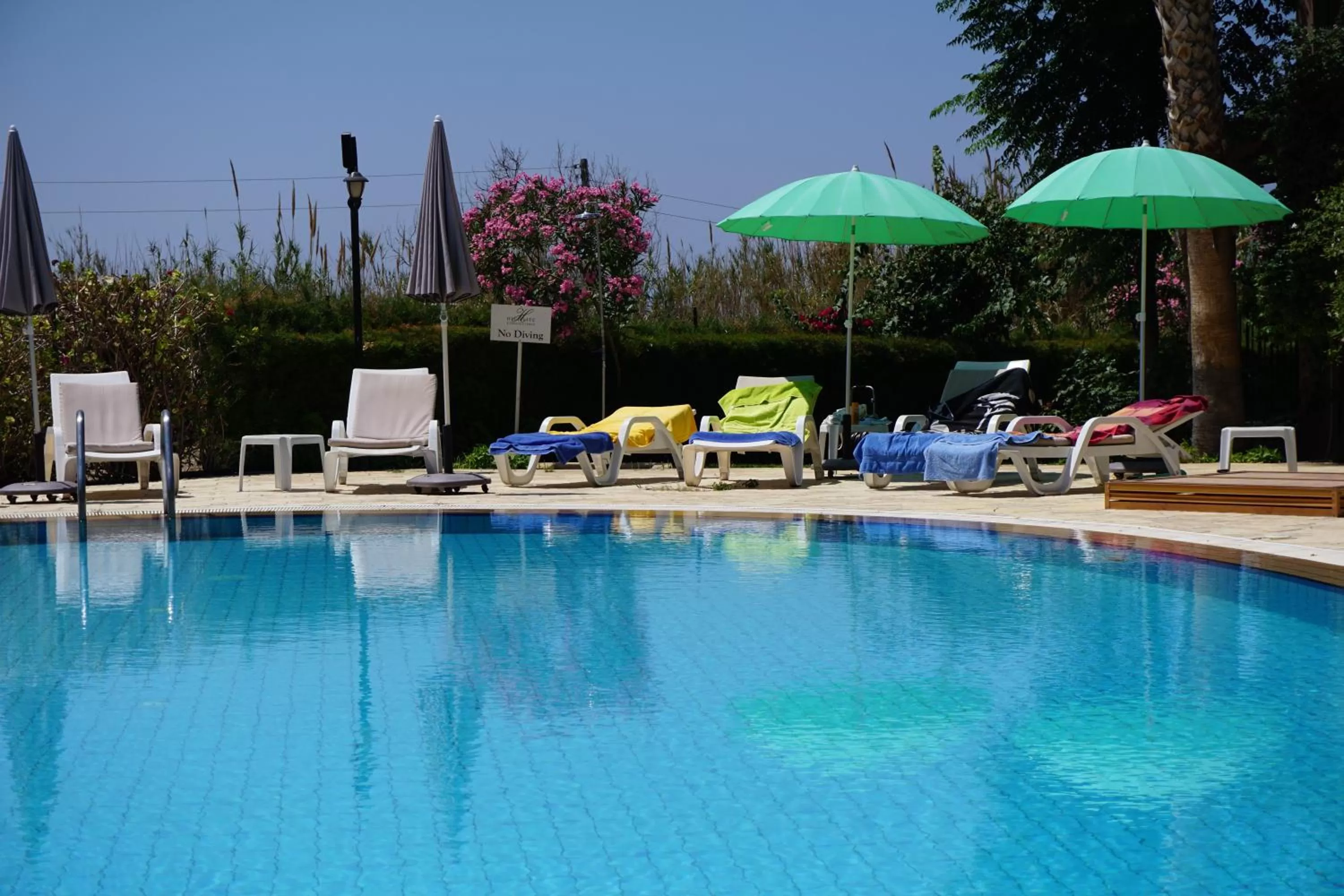 Swimming pool in High Life