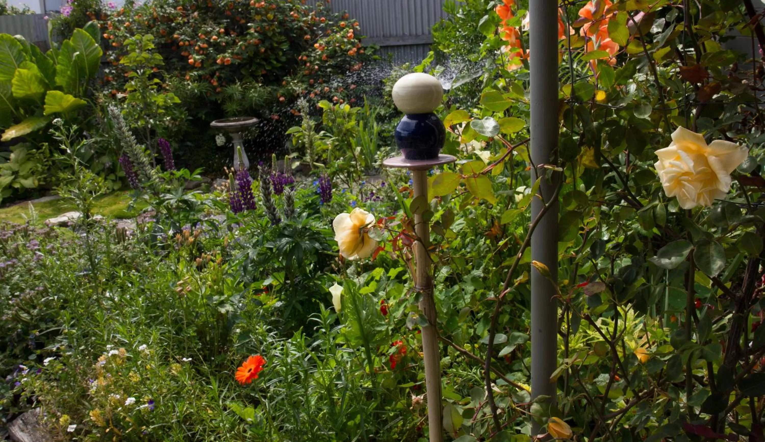 Garden in Magnolia House