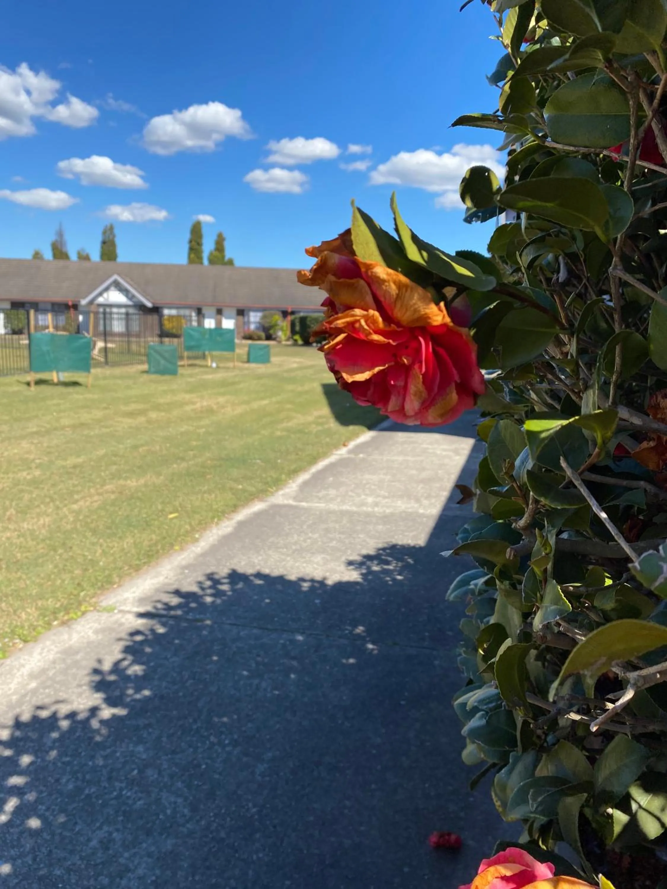 Garden in Sir Francis Drake