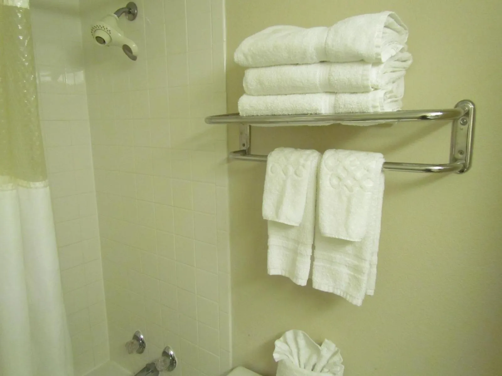 Shower in Romana Hotel - Houston Southwest