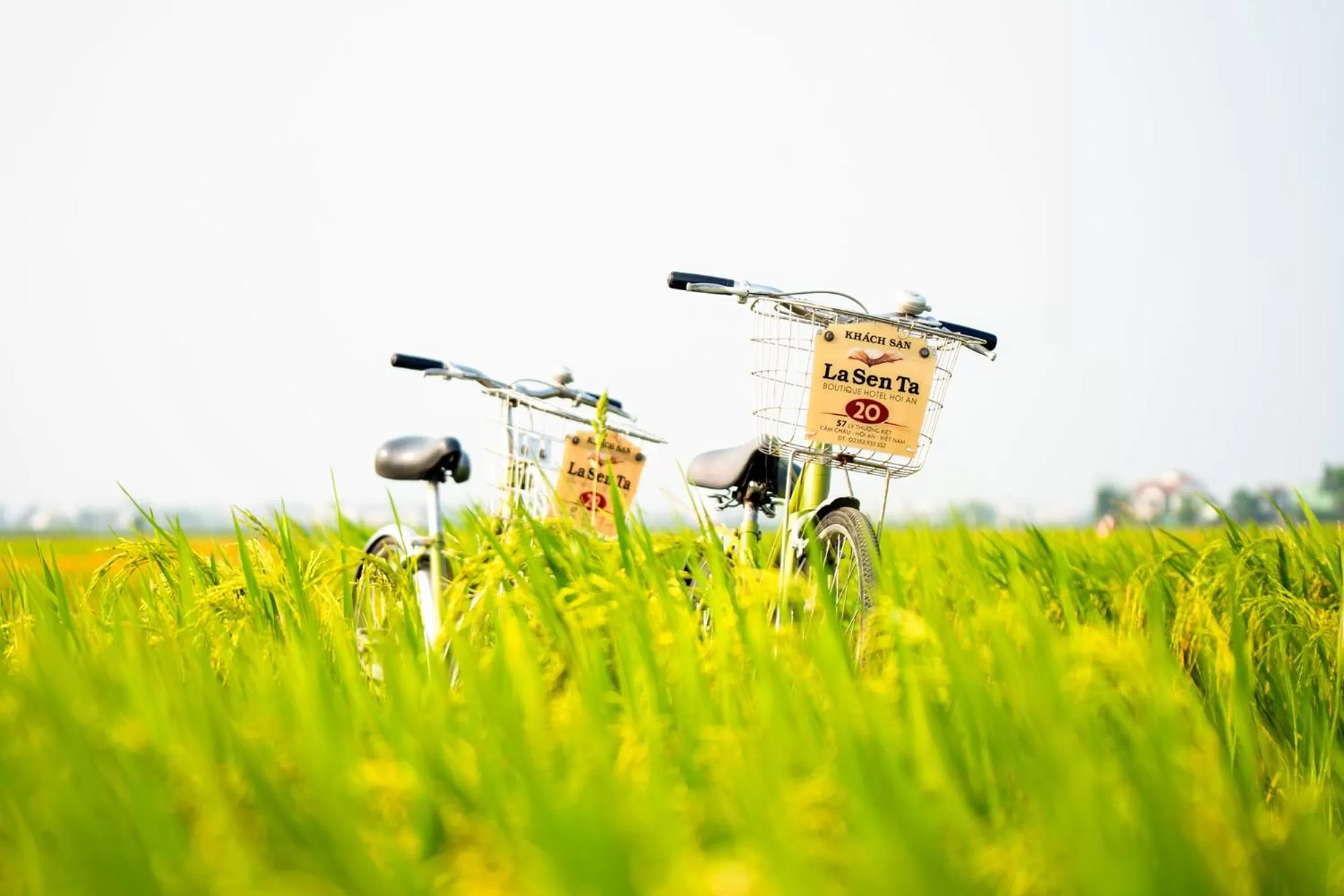 Property building in Lasenta Boutique Hotel Hoian