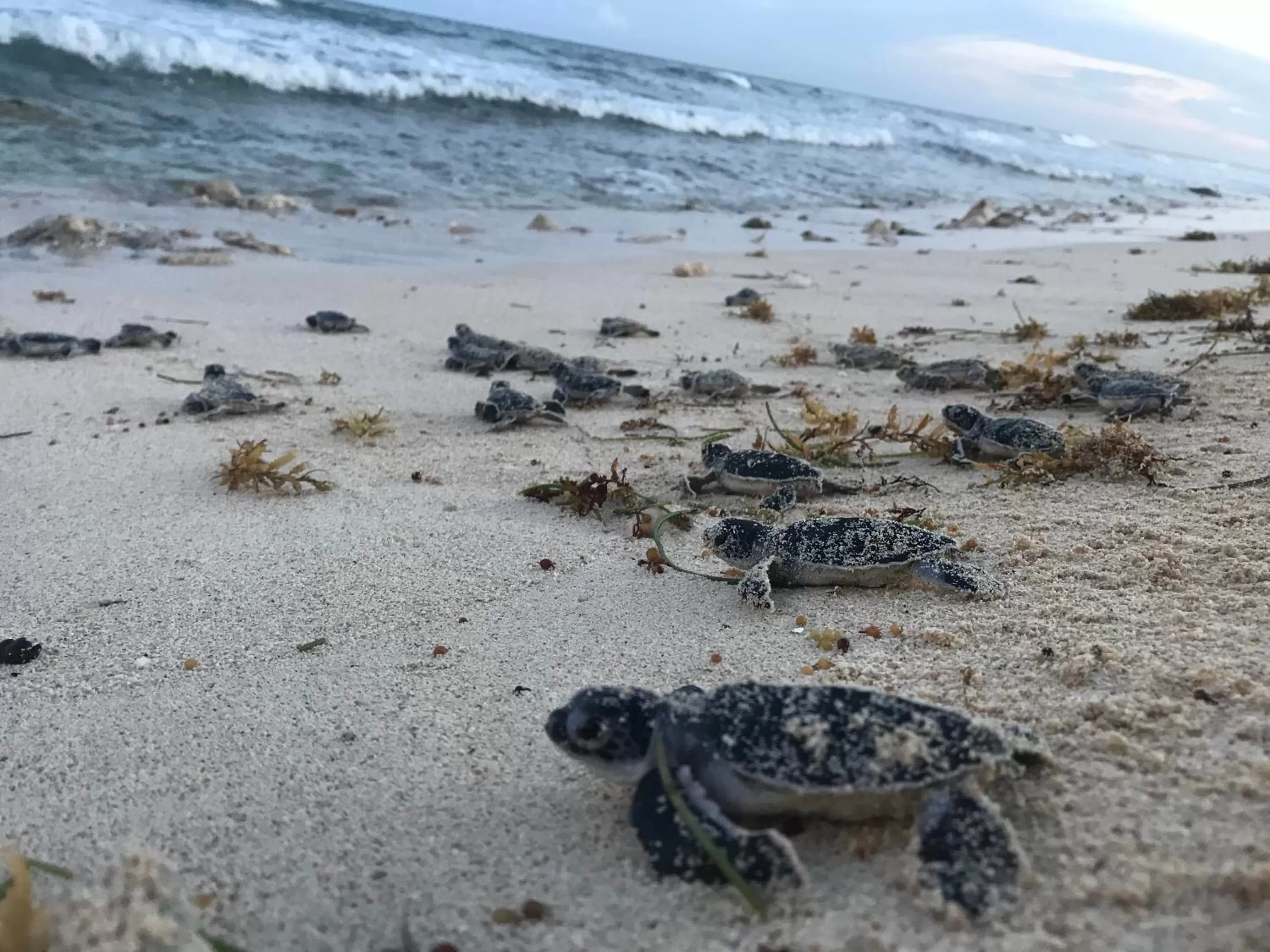 Natural landscape in Casa Kayab