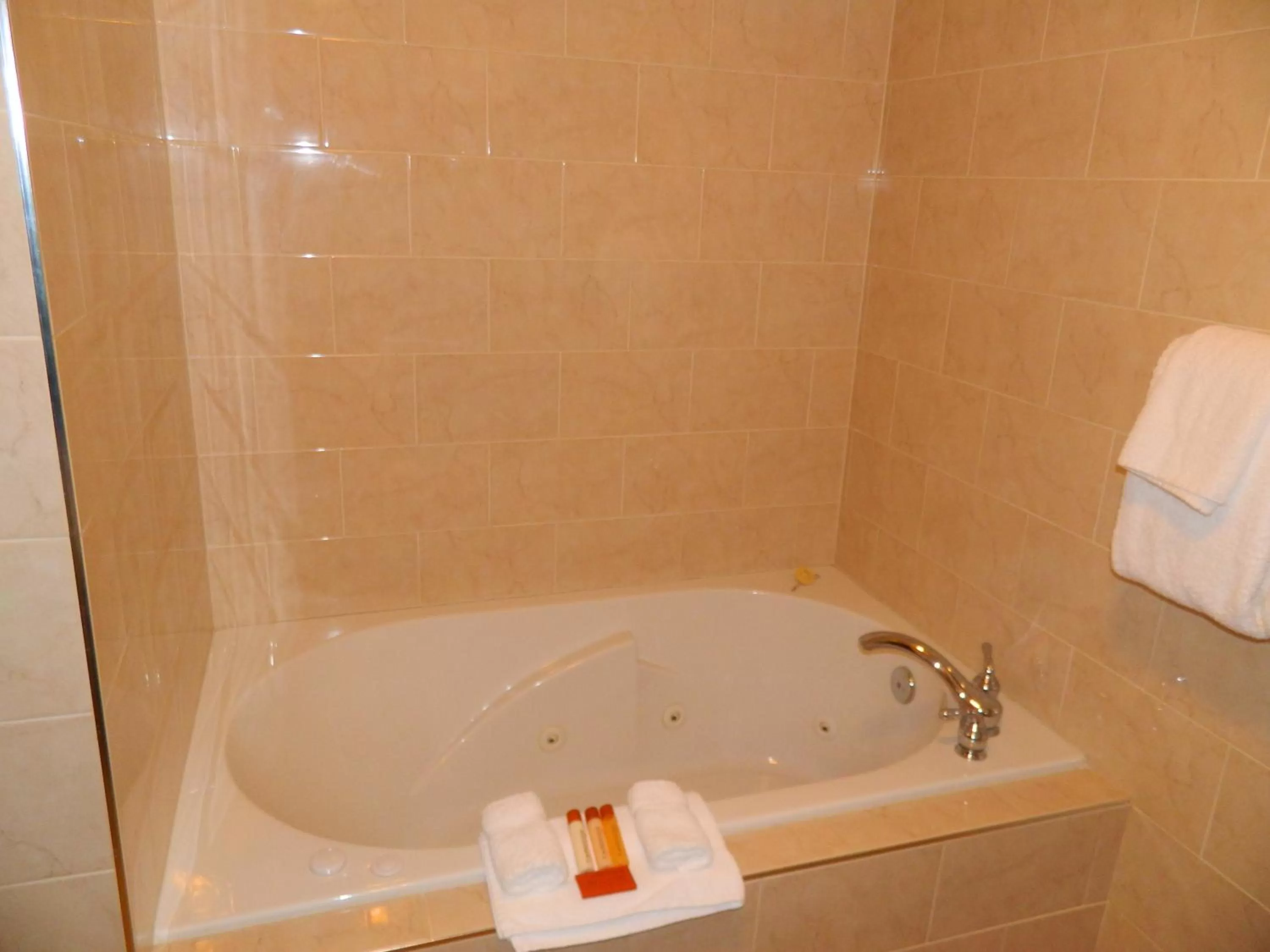 Bathroom in Belvedere Inn Schenectady - Albany