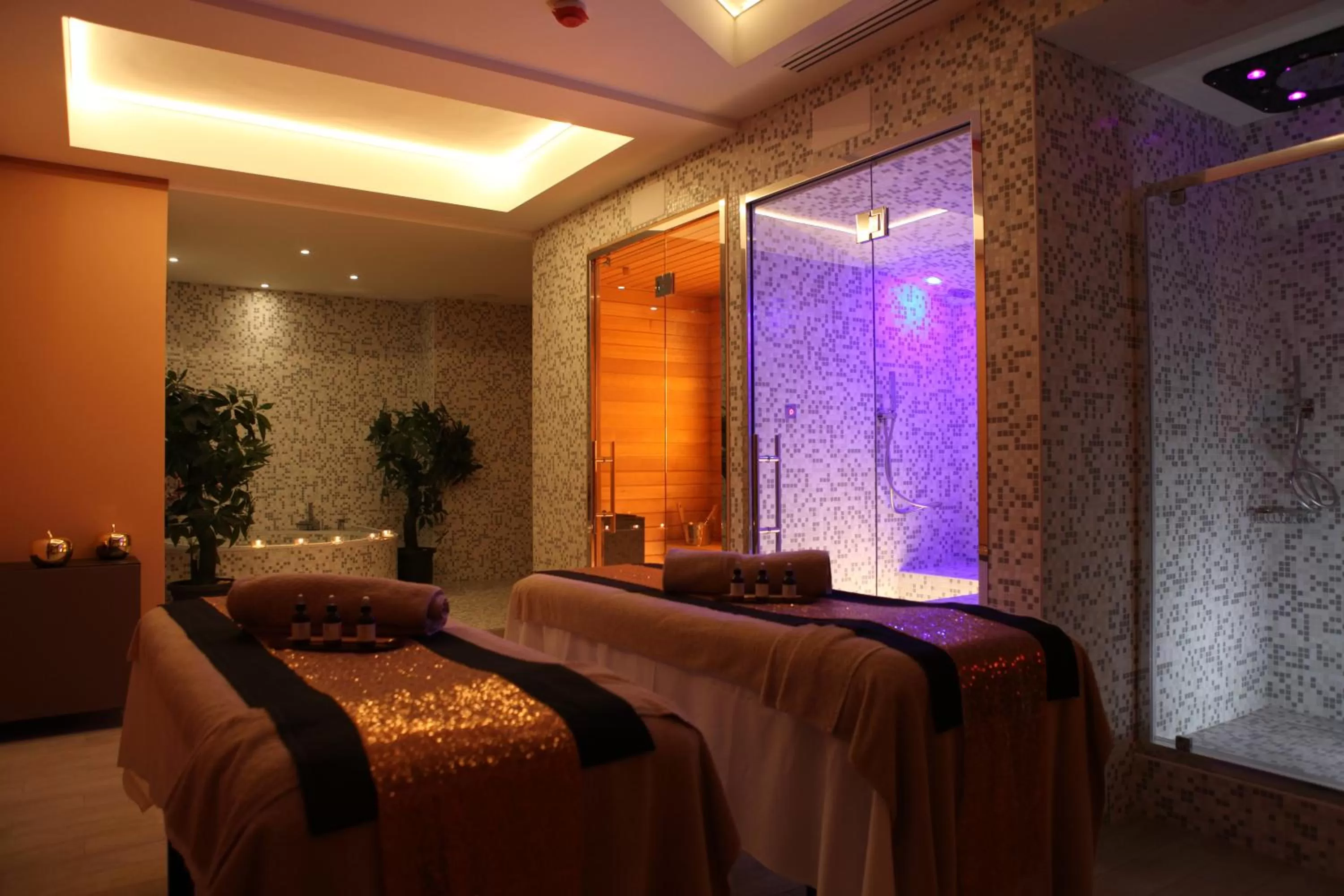 Spa and wellness centre/facilities in The Hive Hotel