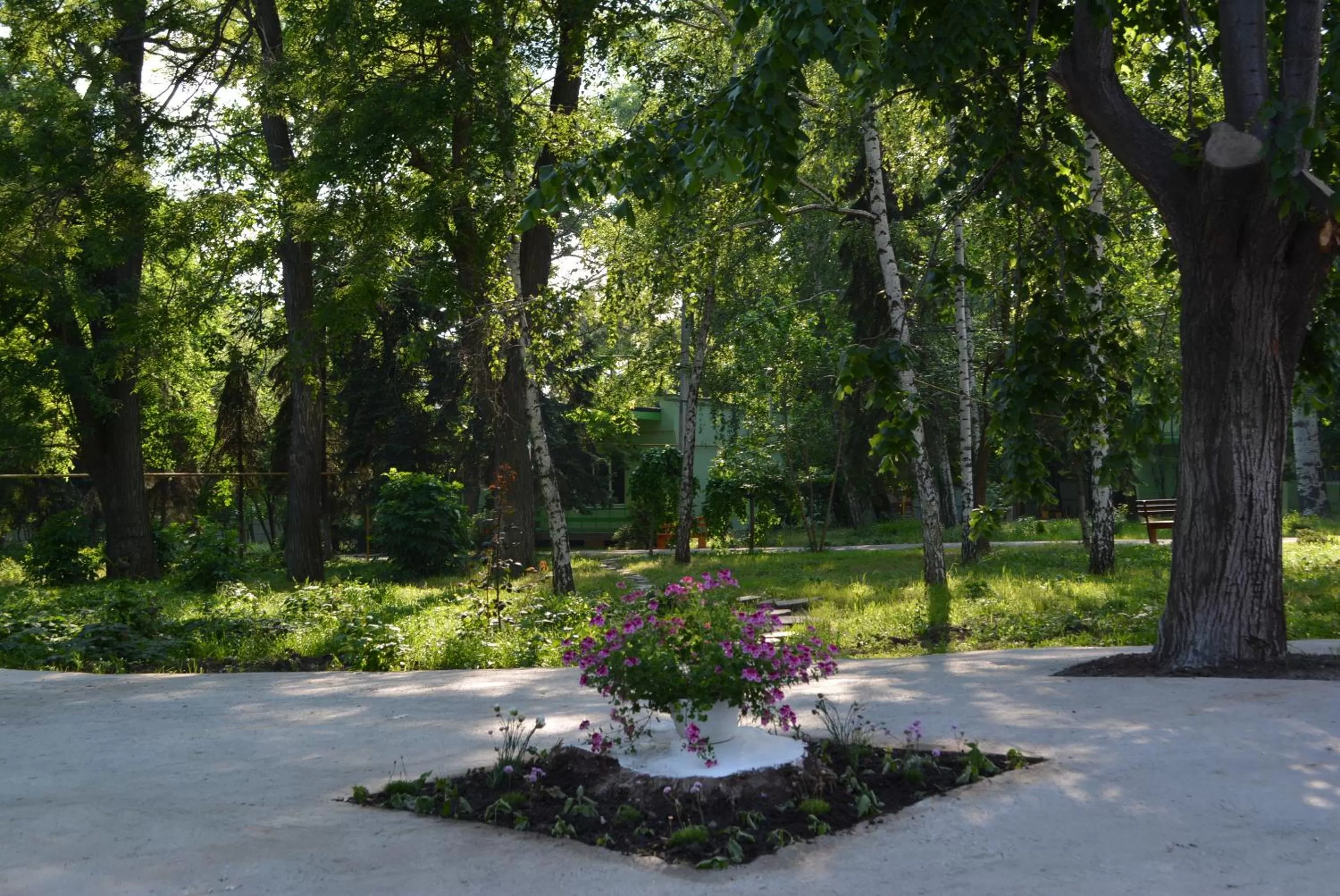 On site in Zelenyi Kampus